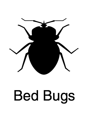 Bed Bug - Navigation@2x.jpg