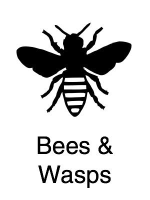 Bees & Wasps - Navigation@2x.jpg