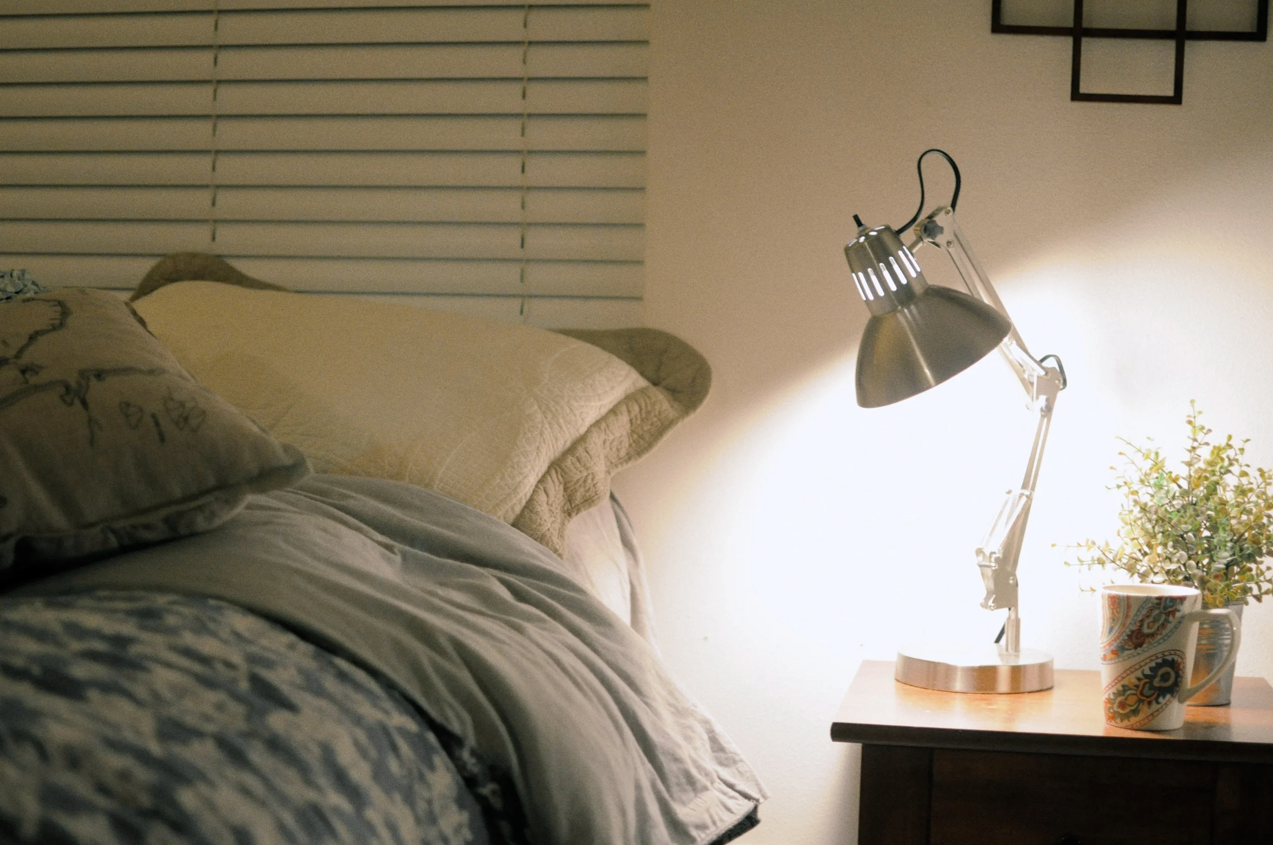 Bed Bug Heat Treatment Guide