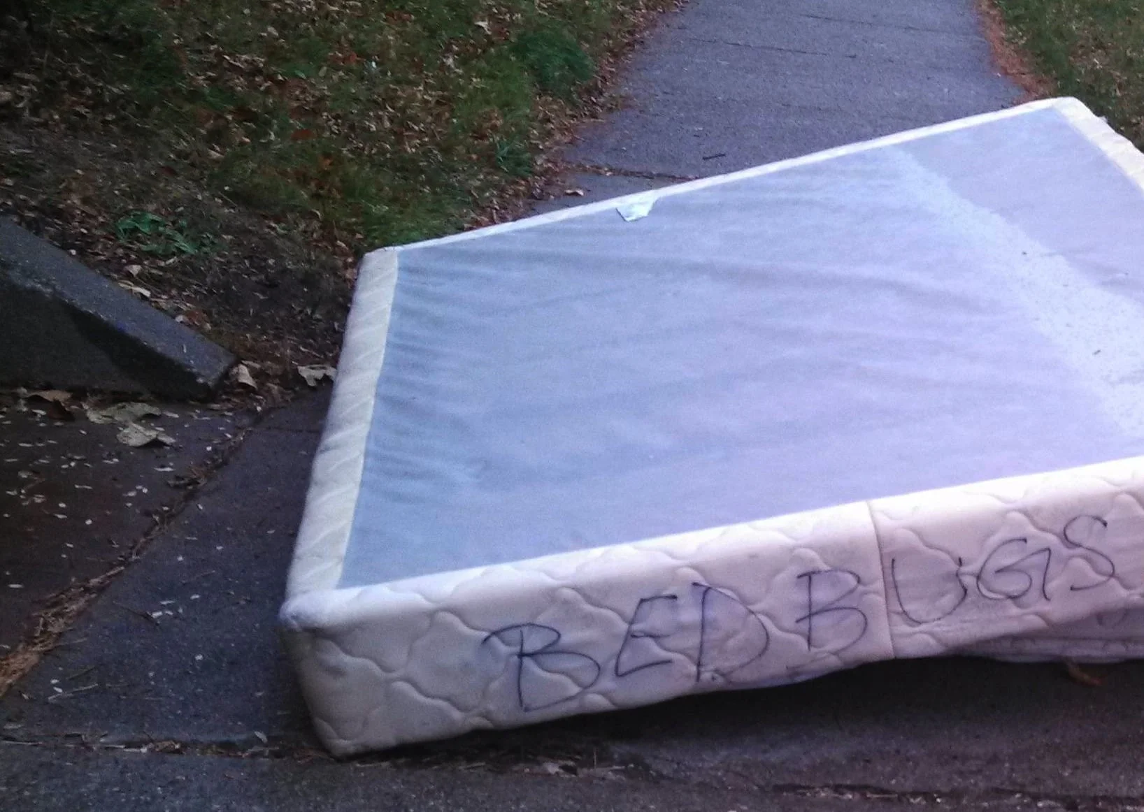 How to get rid of your old Bed Bug infested Mattress