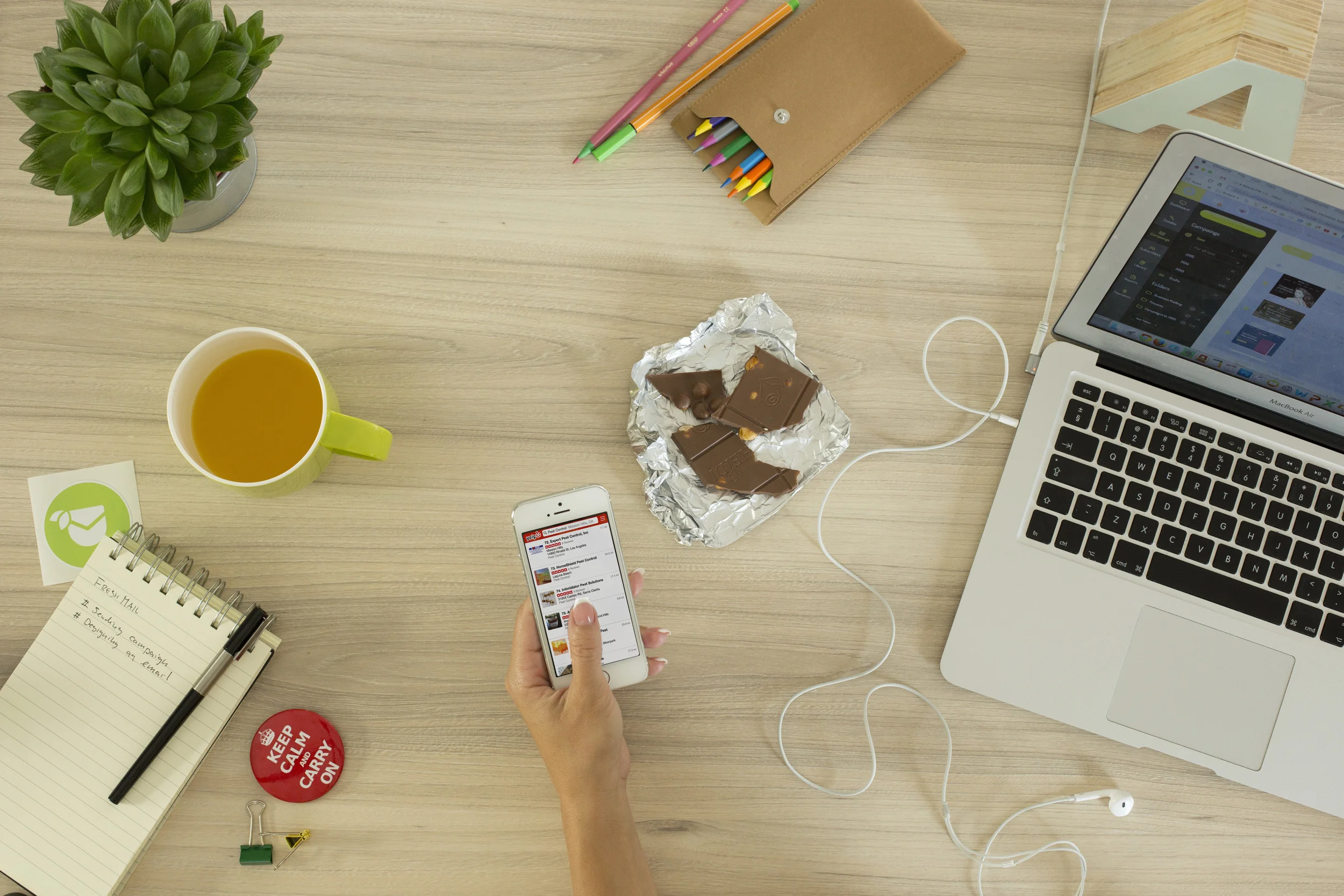 Pest Control Scams And How To Avoid Them