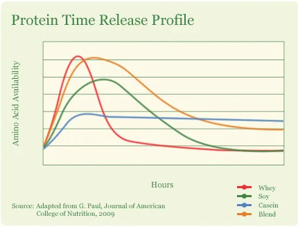 building_muscle_mass_timerelease.jpg