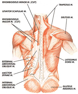 Source: http://timiinengland.wordpress.com/2012/01/03/hard-core-workout/