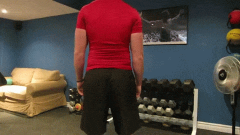 Torso/Spine Lateral Flexion
