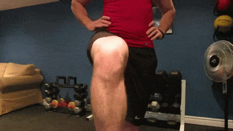 Medial Rotation (of femur)