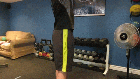 Hip Flexion