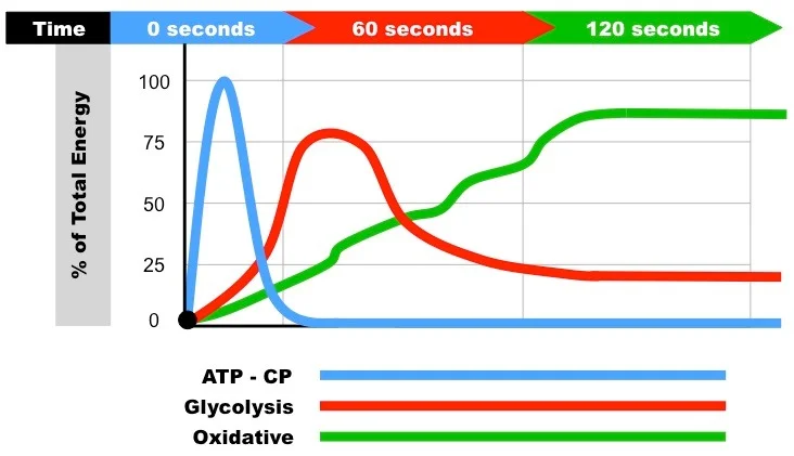 Source: http://ausfit.net.au/understanding-your-body-energy-systems/