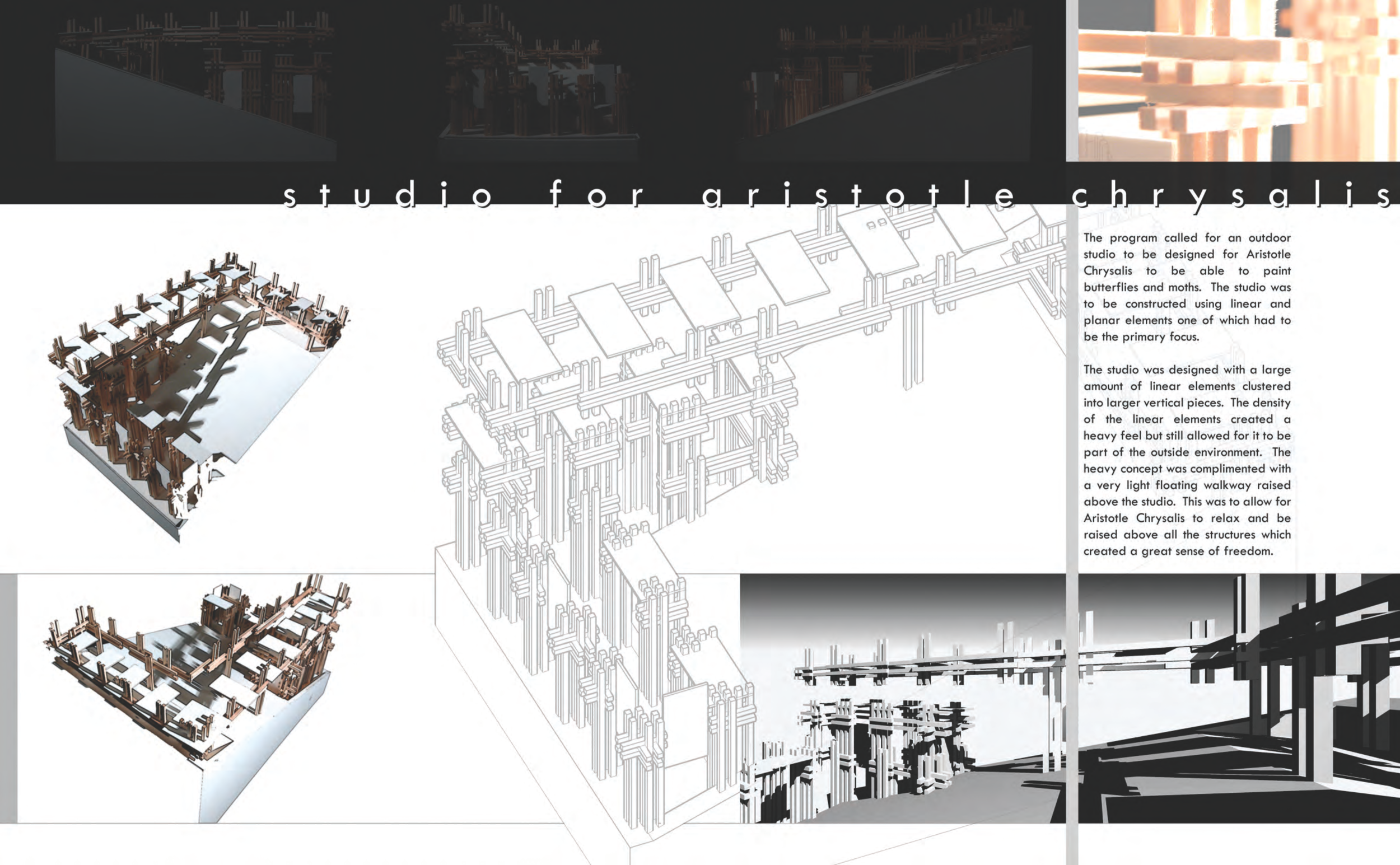 Studio for Aristotle Chrysalis