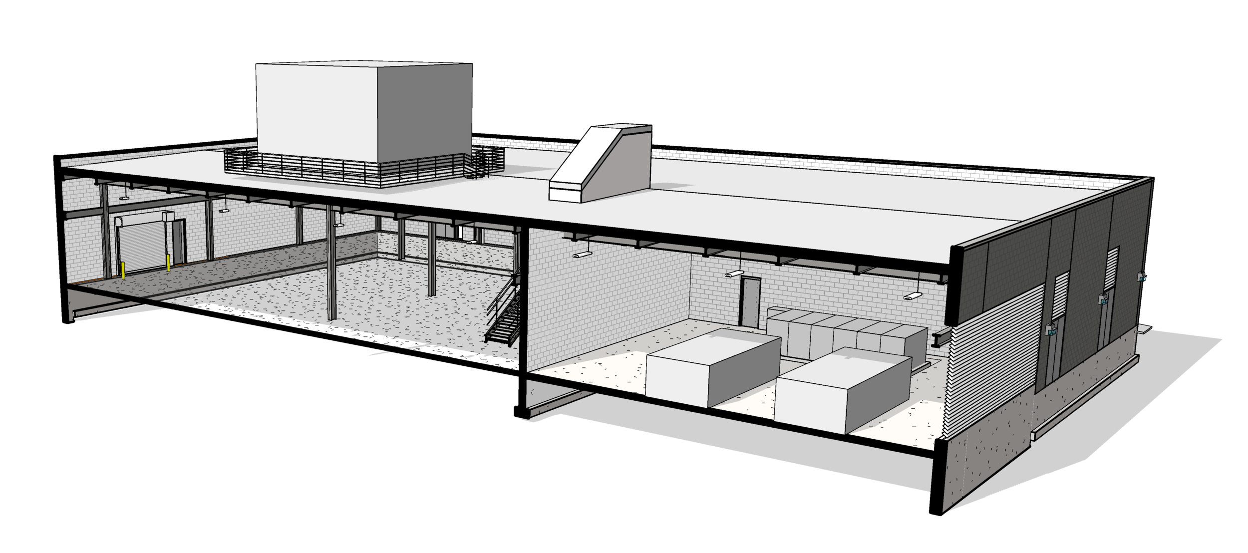 longitudinal section