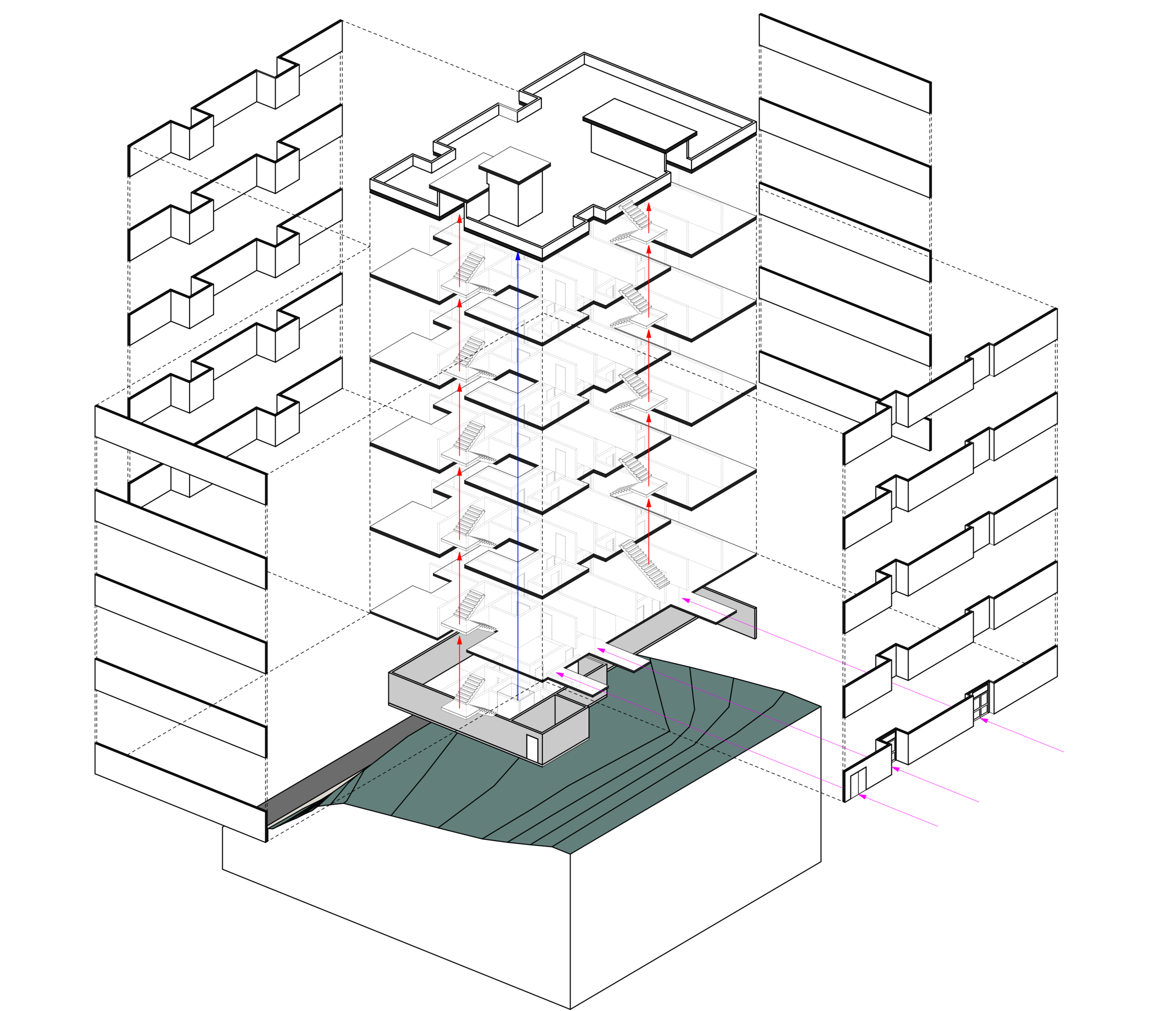 circulation diagram