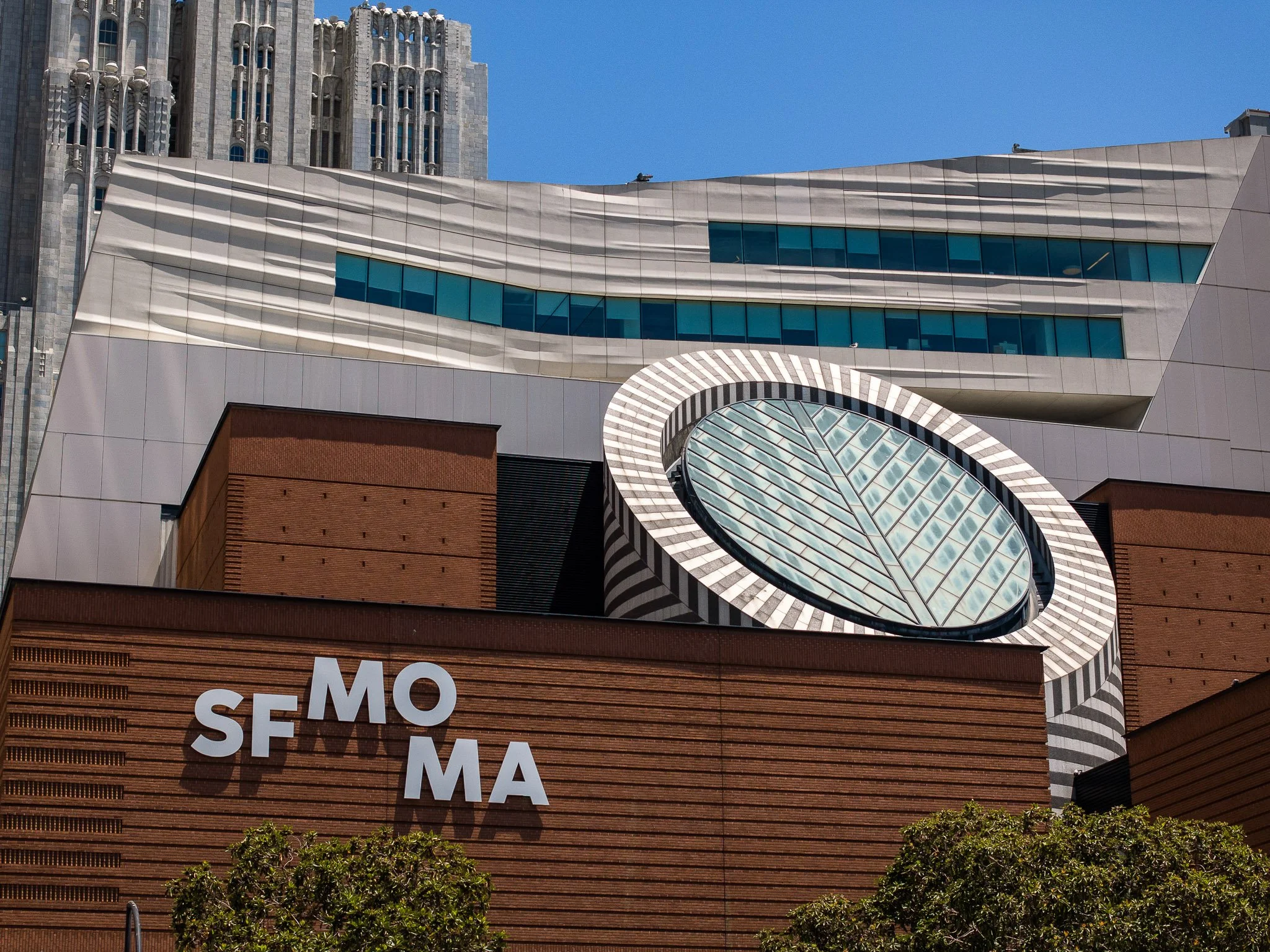 SF_MOMA-23.jpg