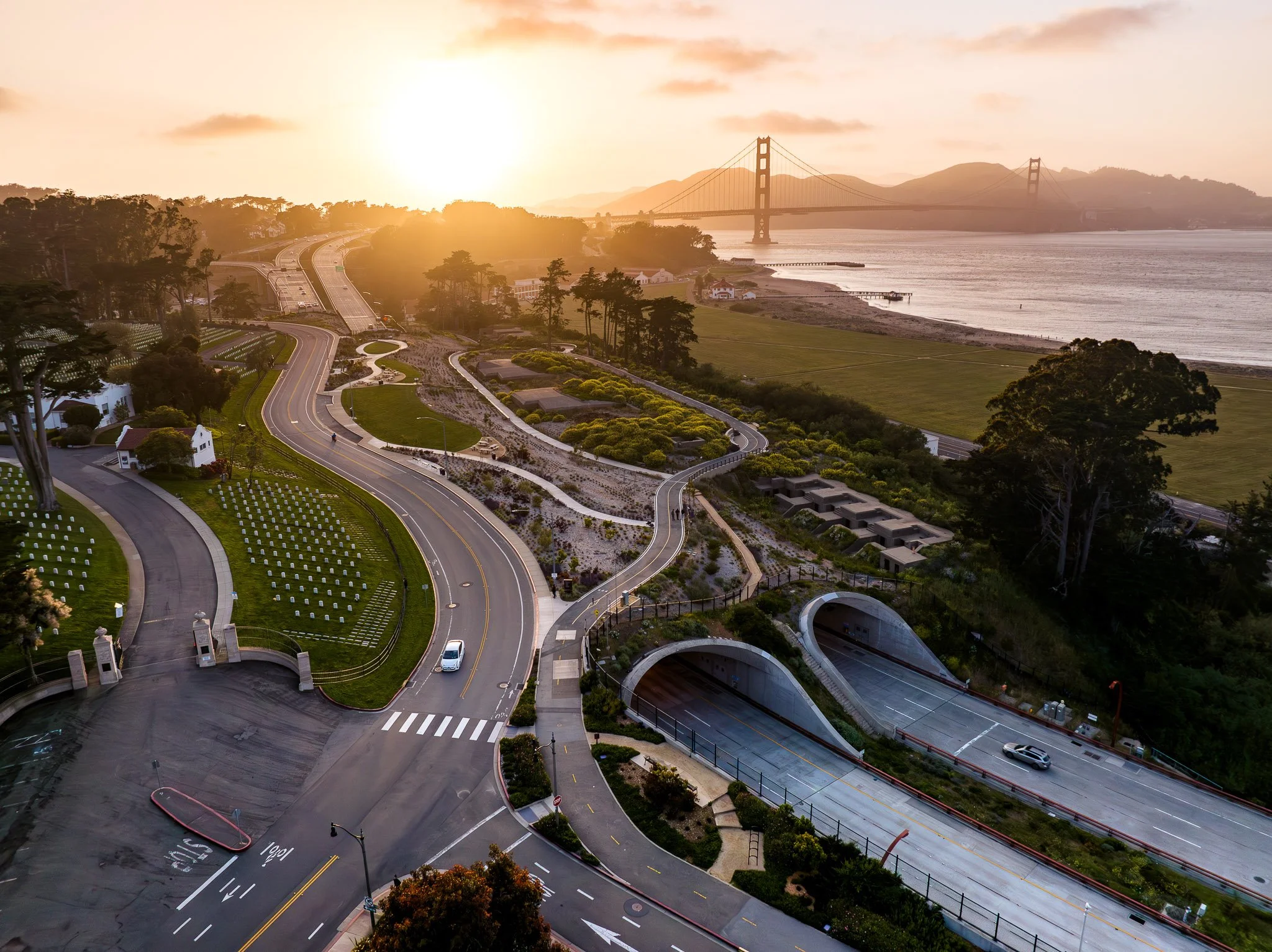Presidio_SF-31.jpg