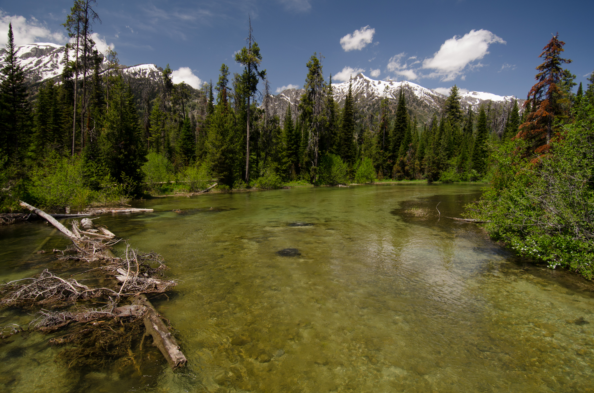 Grand Tetons - Lake Creek