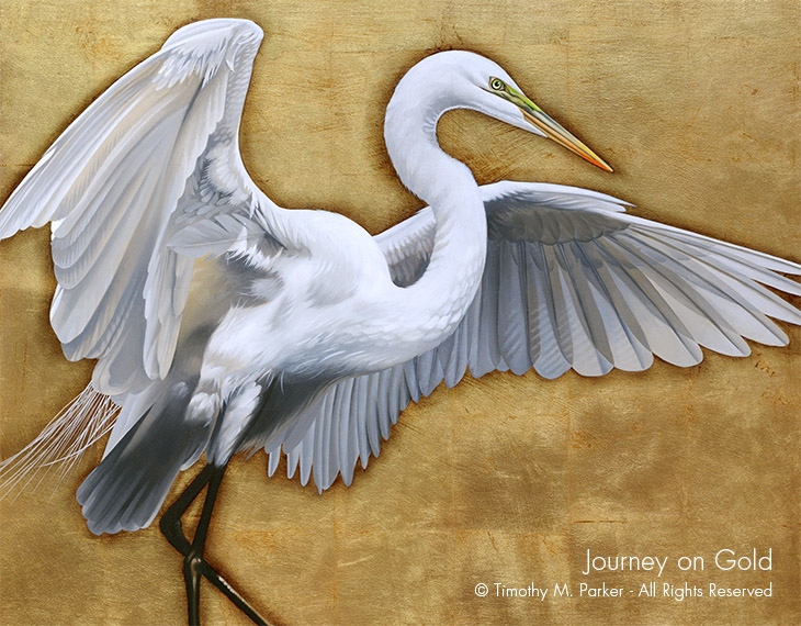 Egret Painting - Artist Tim Parker