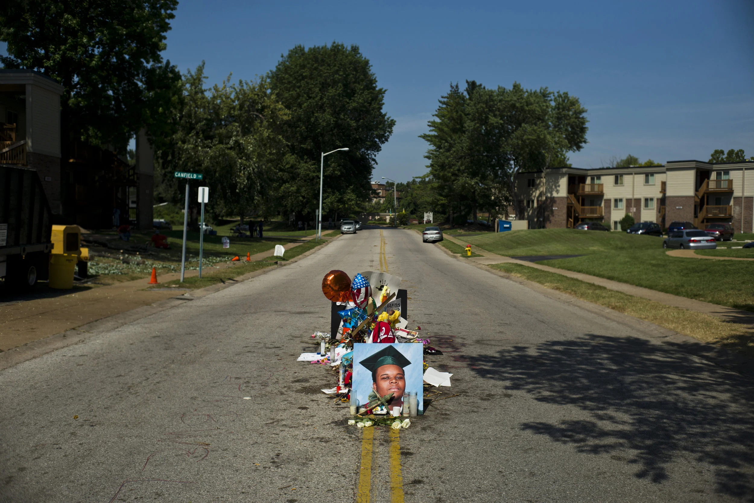 FERGUSON_TFH0716c.JPG