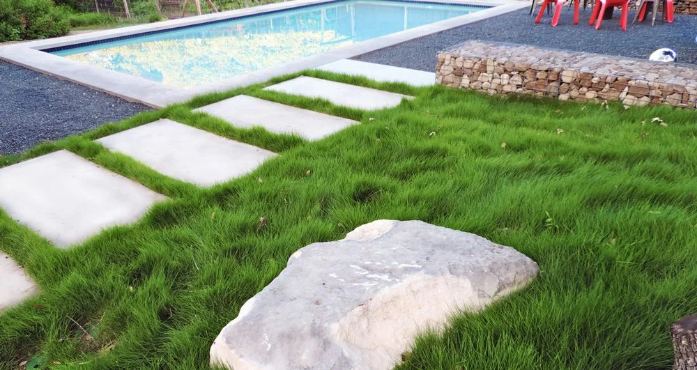 grasscuernavaca.jpg