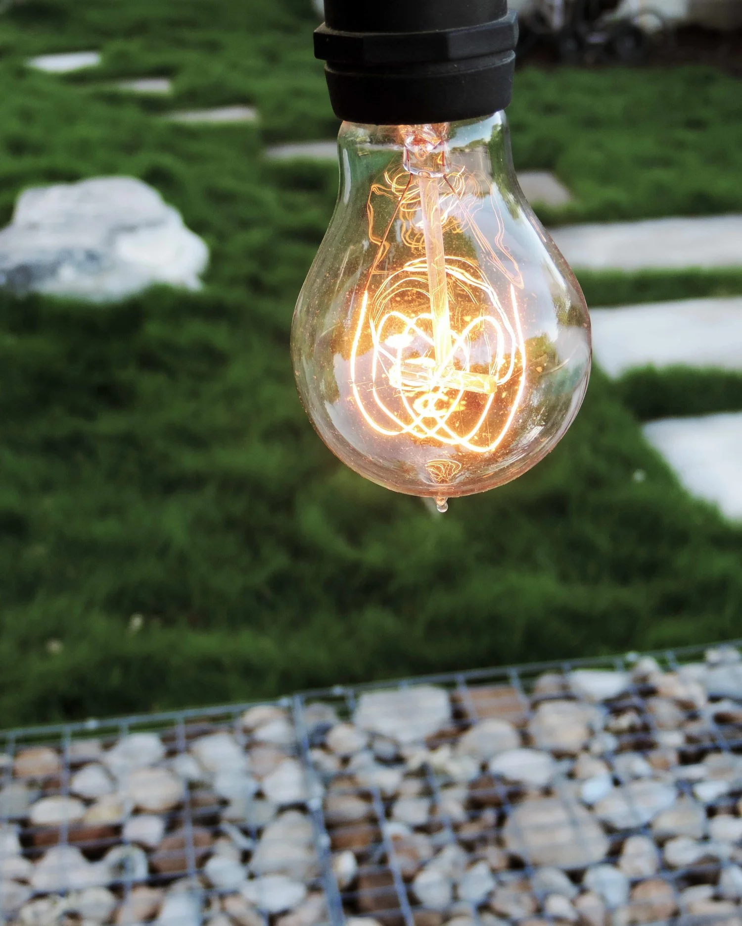 light bulb close up.jpg