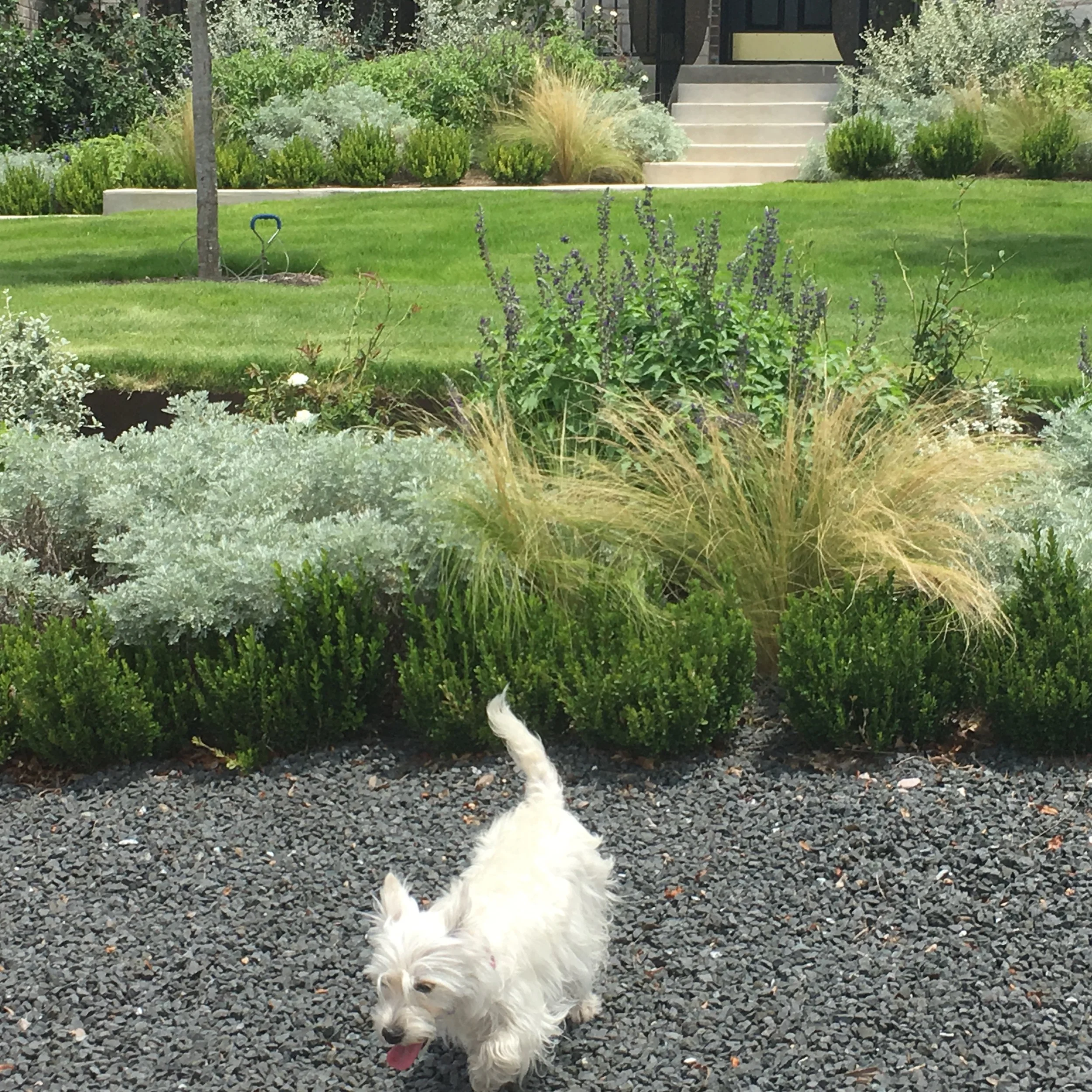 mixed silver and green.JPG