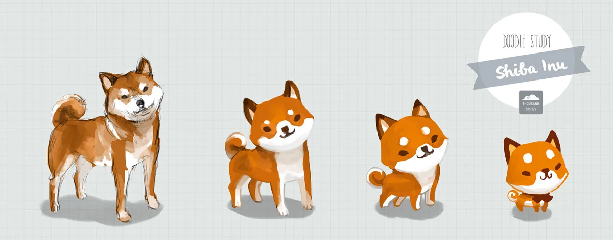 dost_shiba.jpg