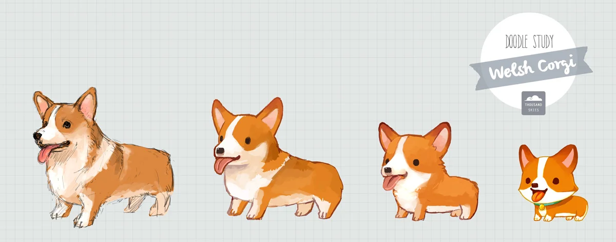 doodle corgi