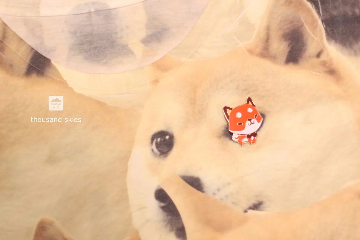shiba4_s.jpg