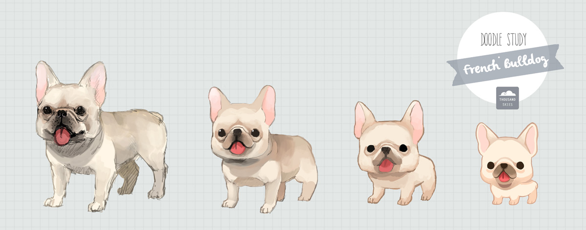dost_frenchie.jpg