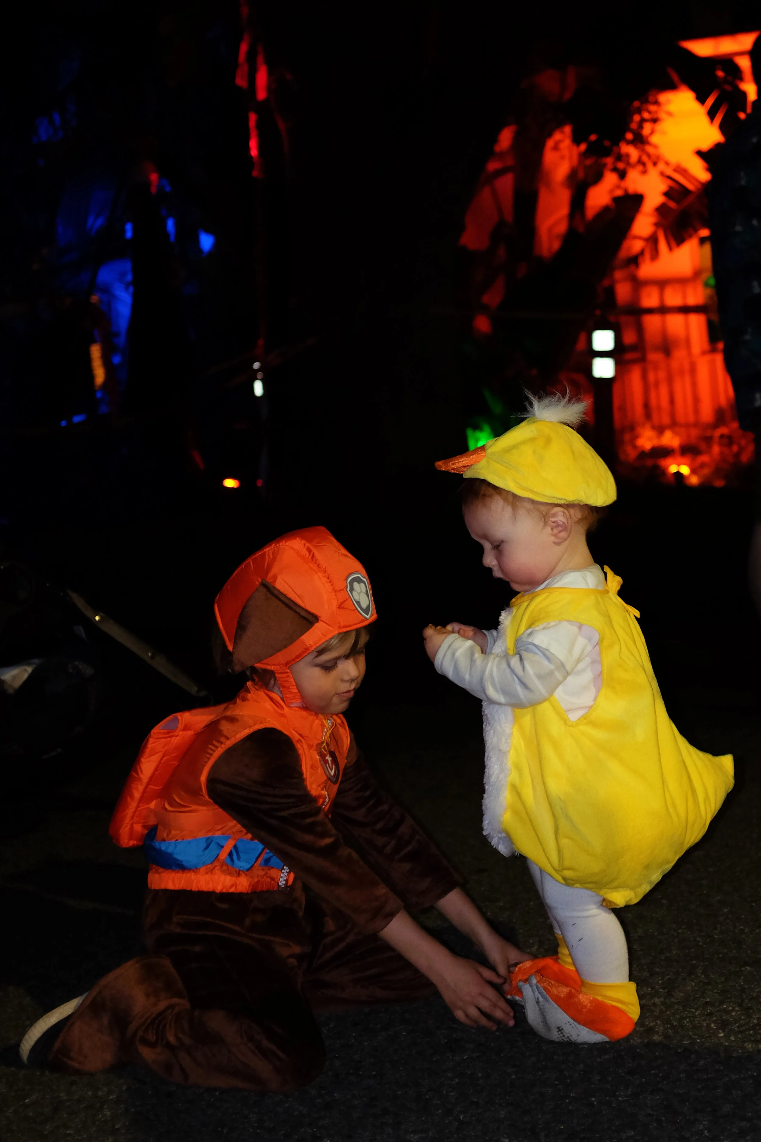 DSCF5080.JPG