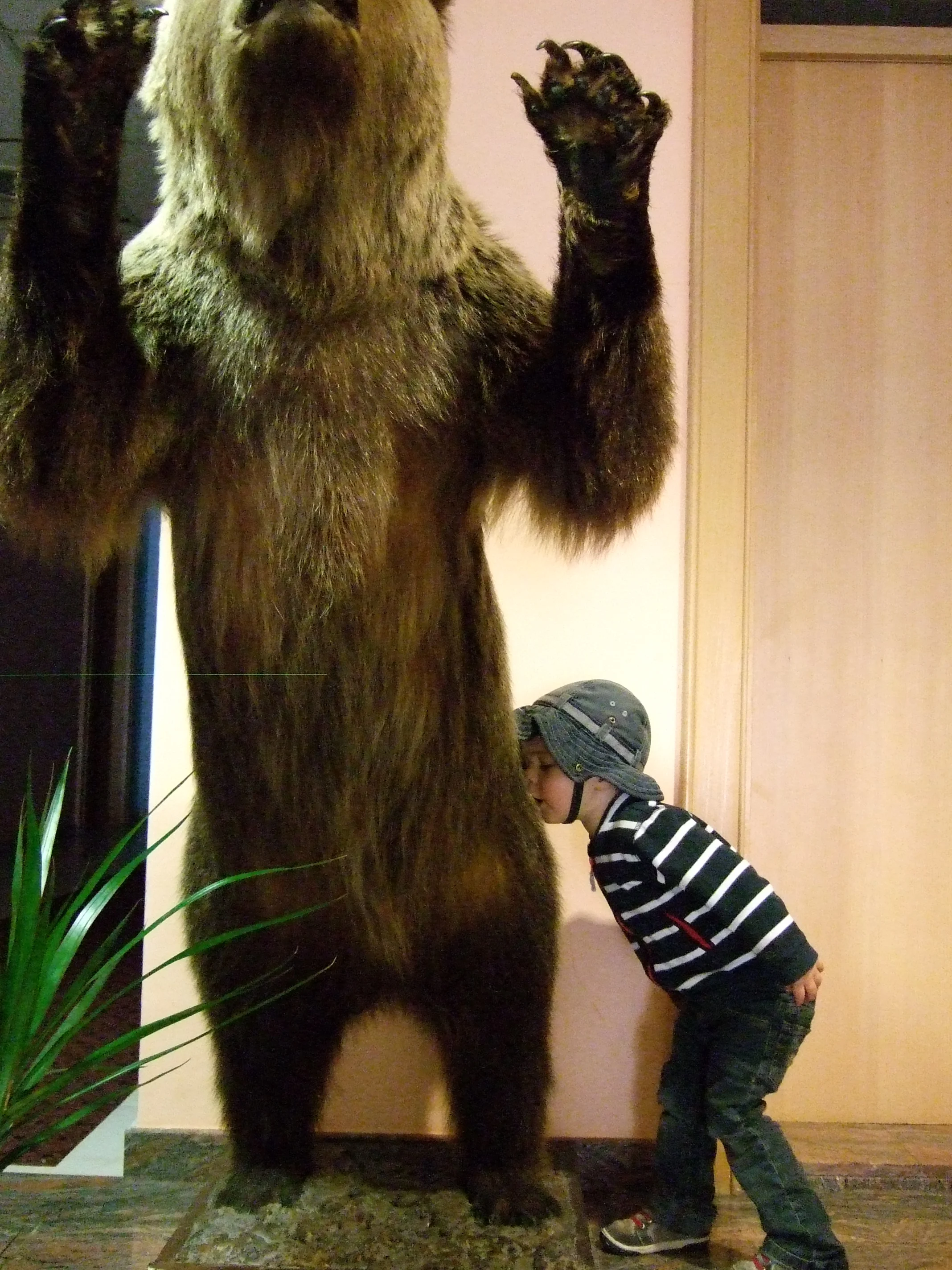 juin_2013_054.JPG