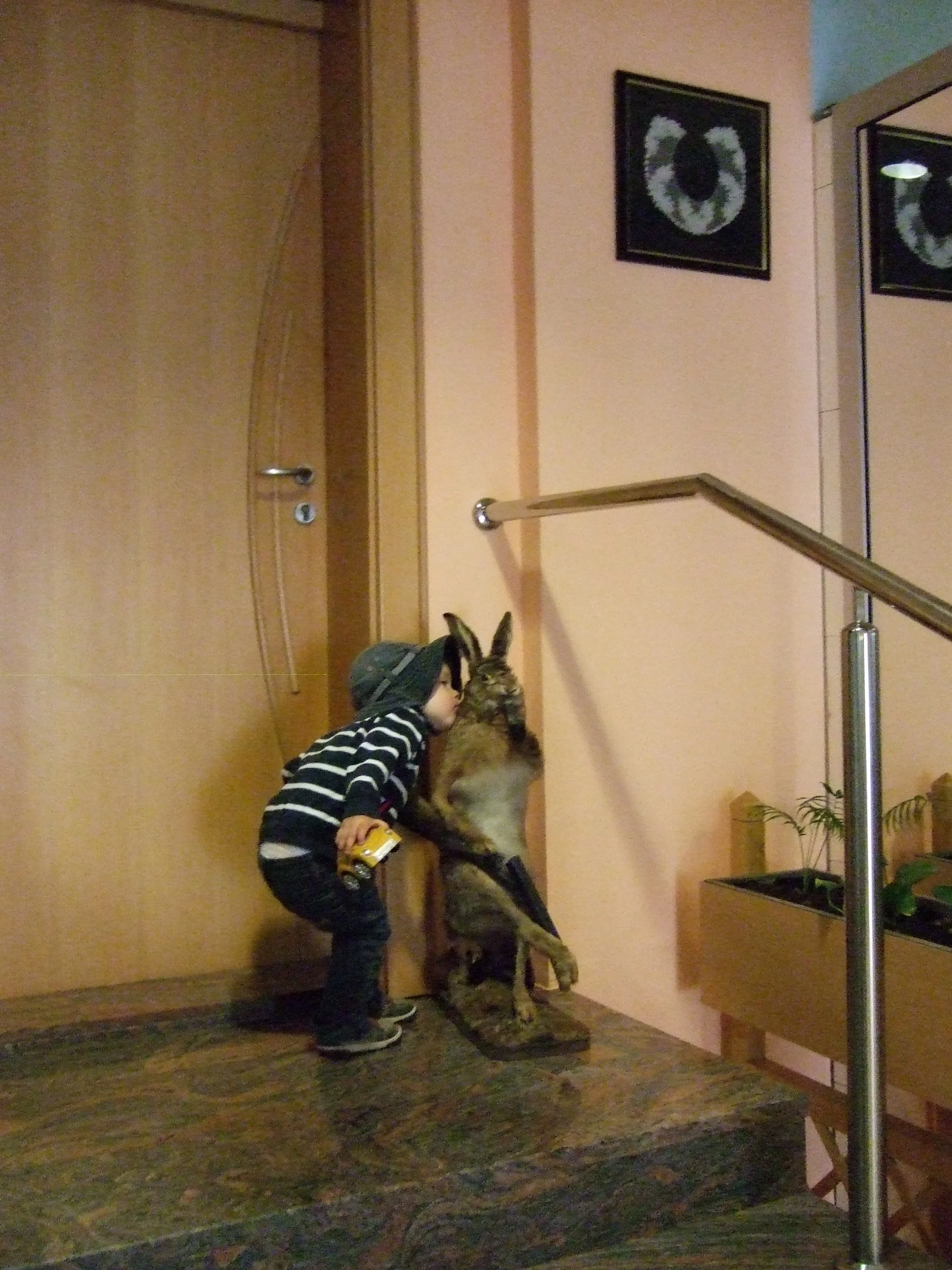 juin_2013_055.JPG