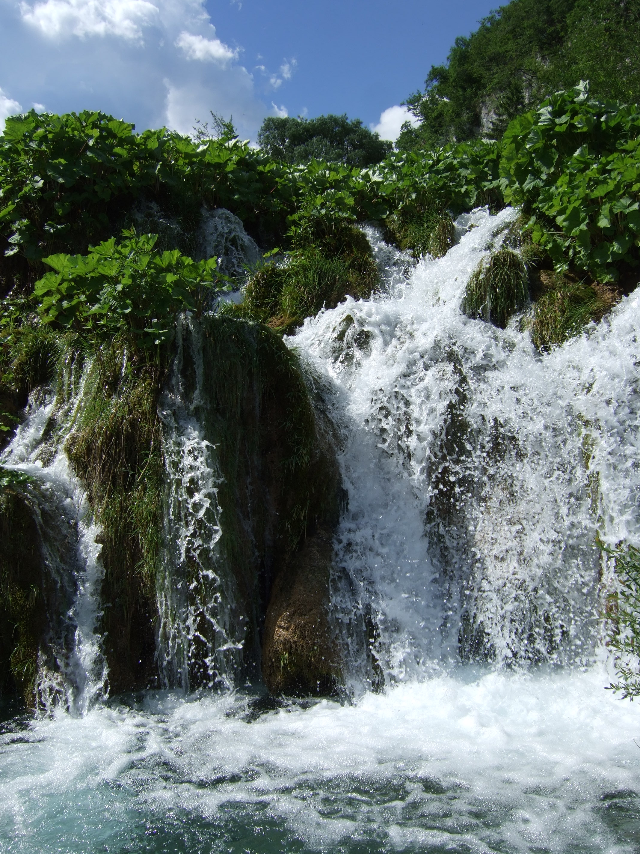 juin_2013_063.JPG