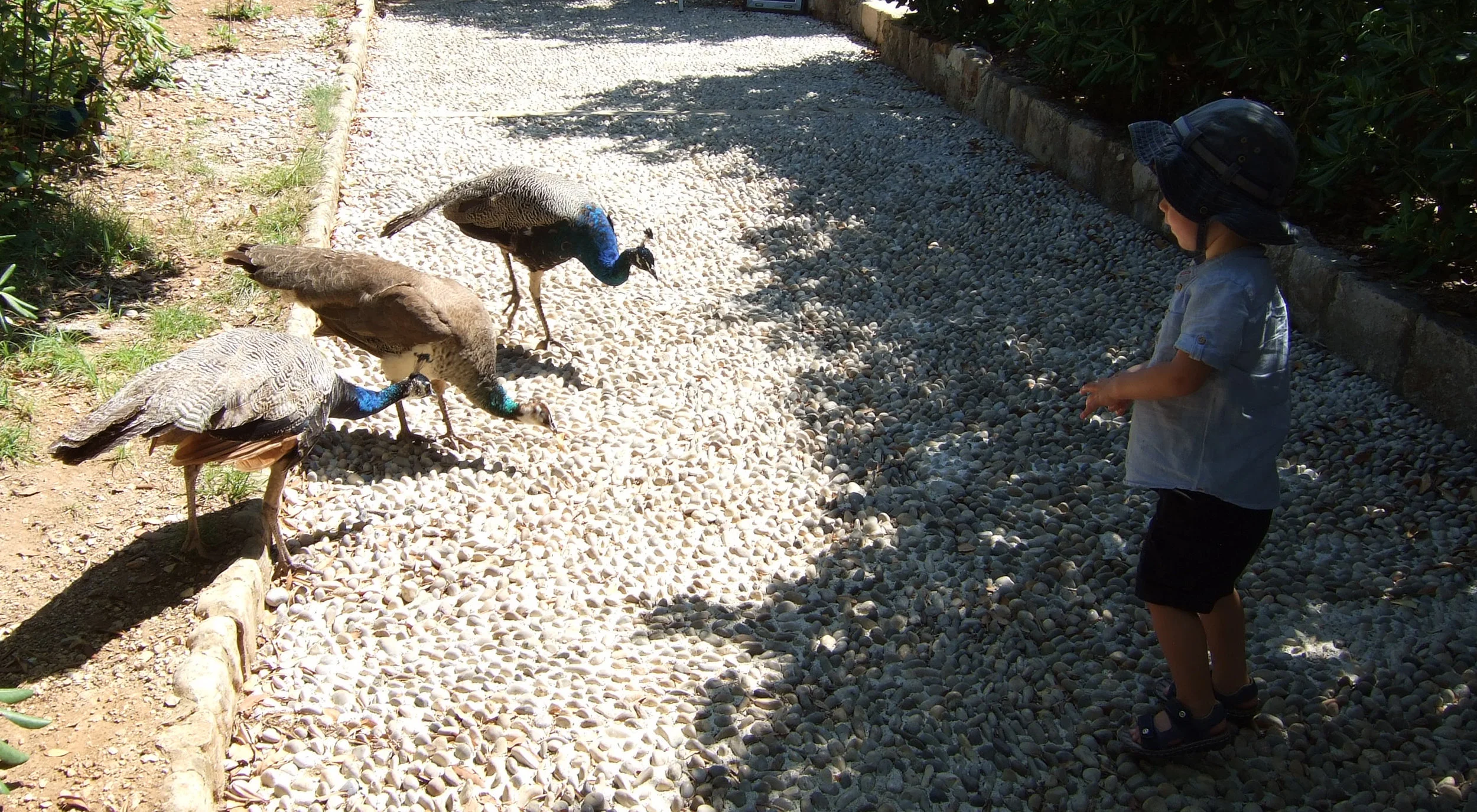 juin_2013_223.jpg