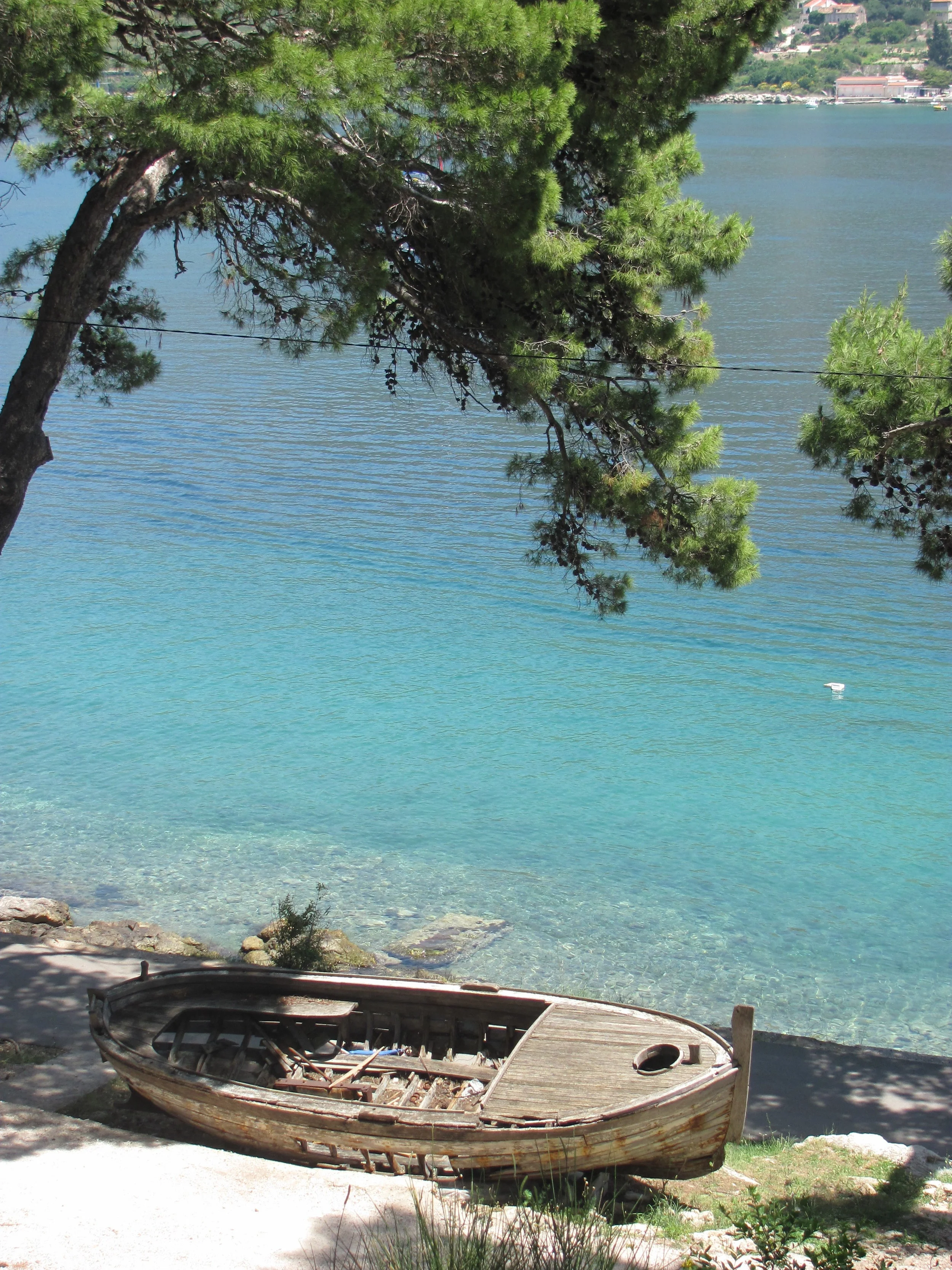 juin_2013_257.jpg