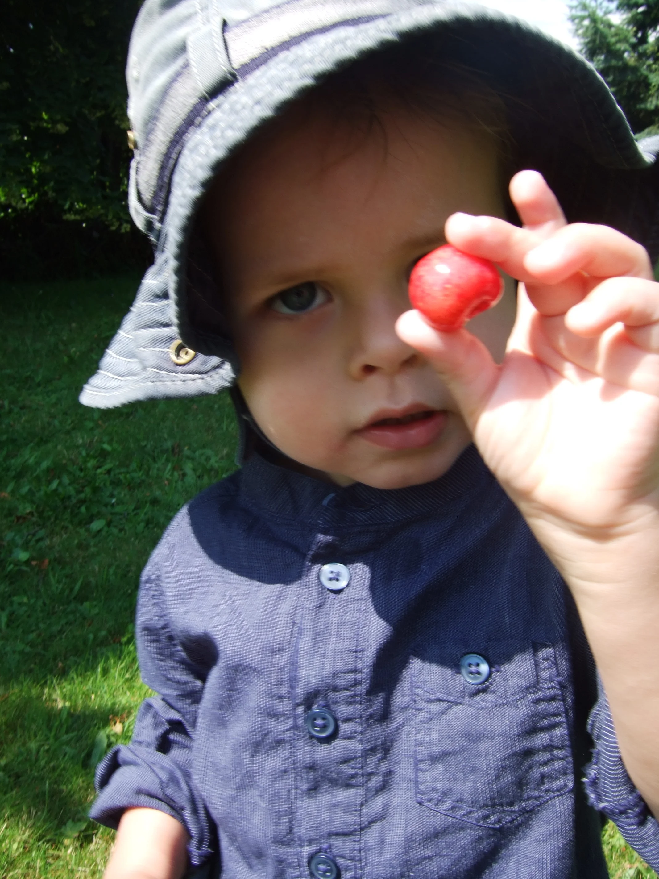 juin_2013_290.jpg