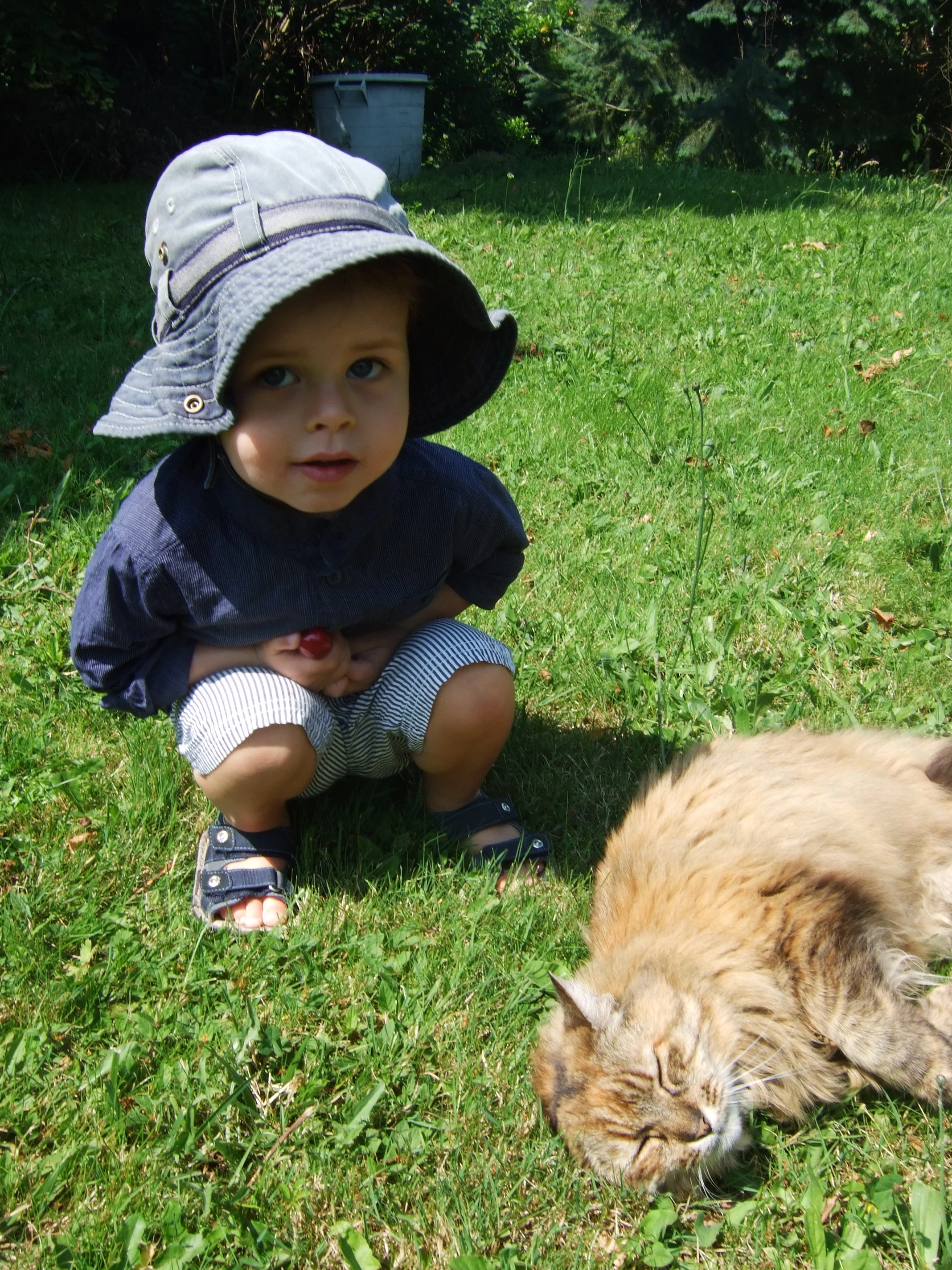 juin_2013_292.jpg