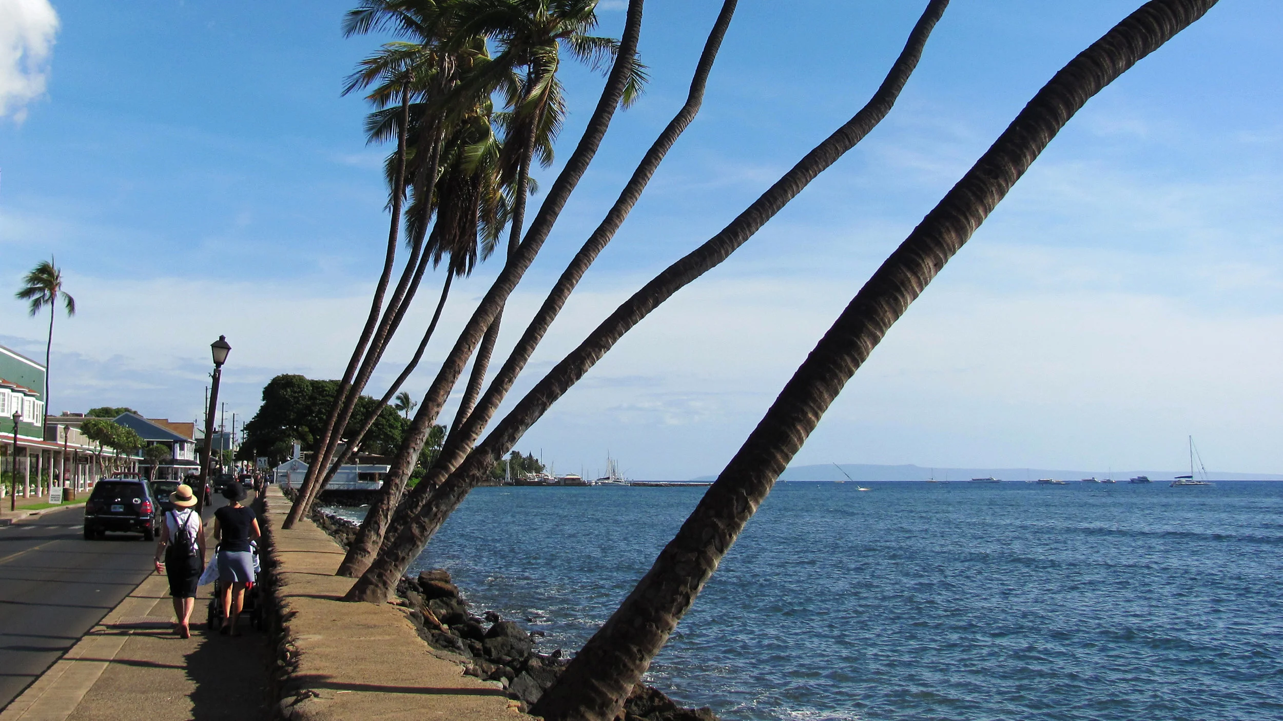 027_Maui.jpg