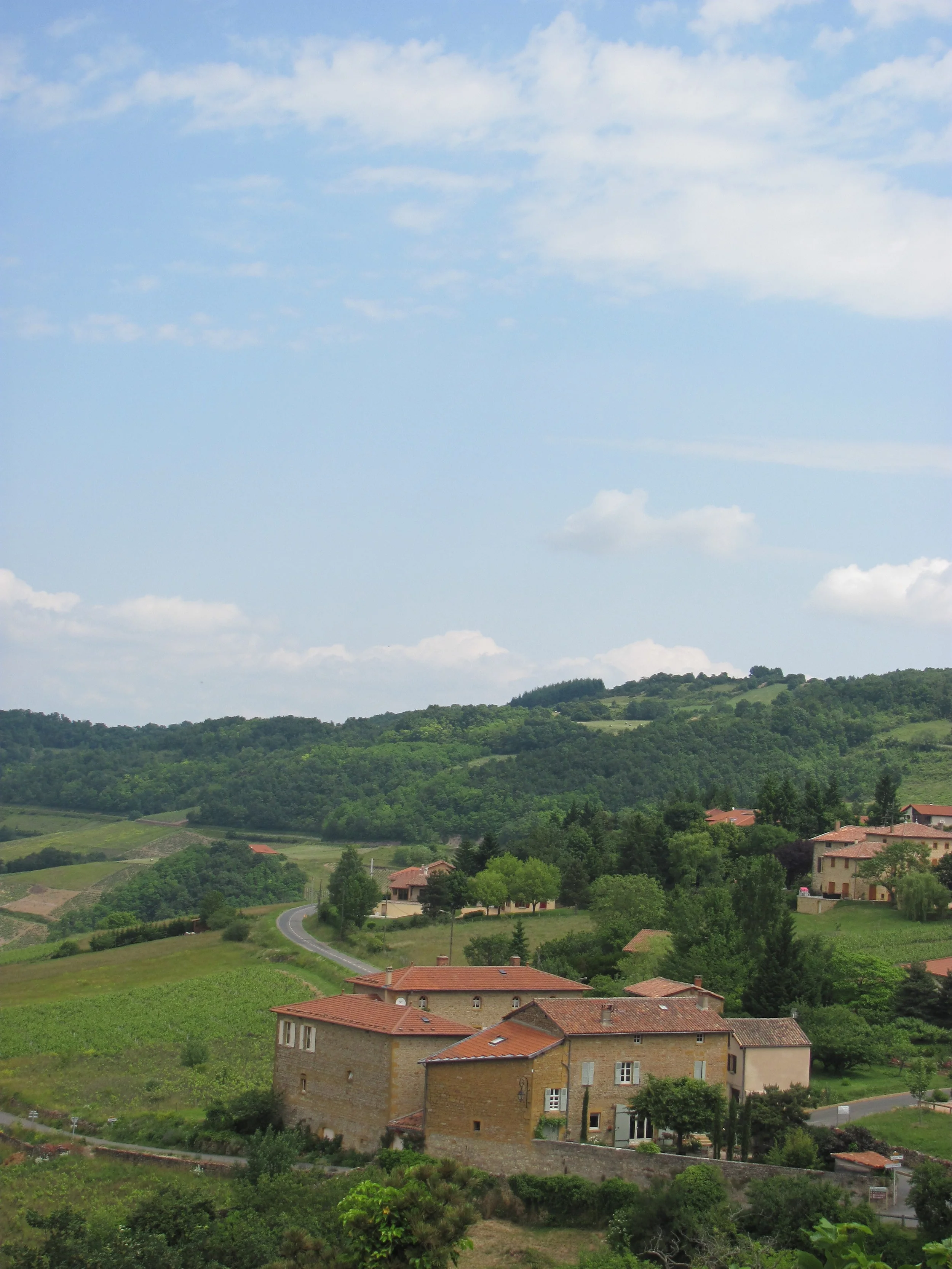 juin_2013_299.jpg