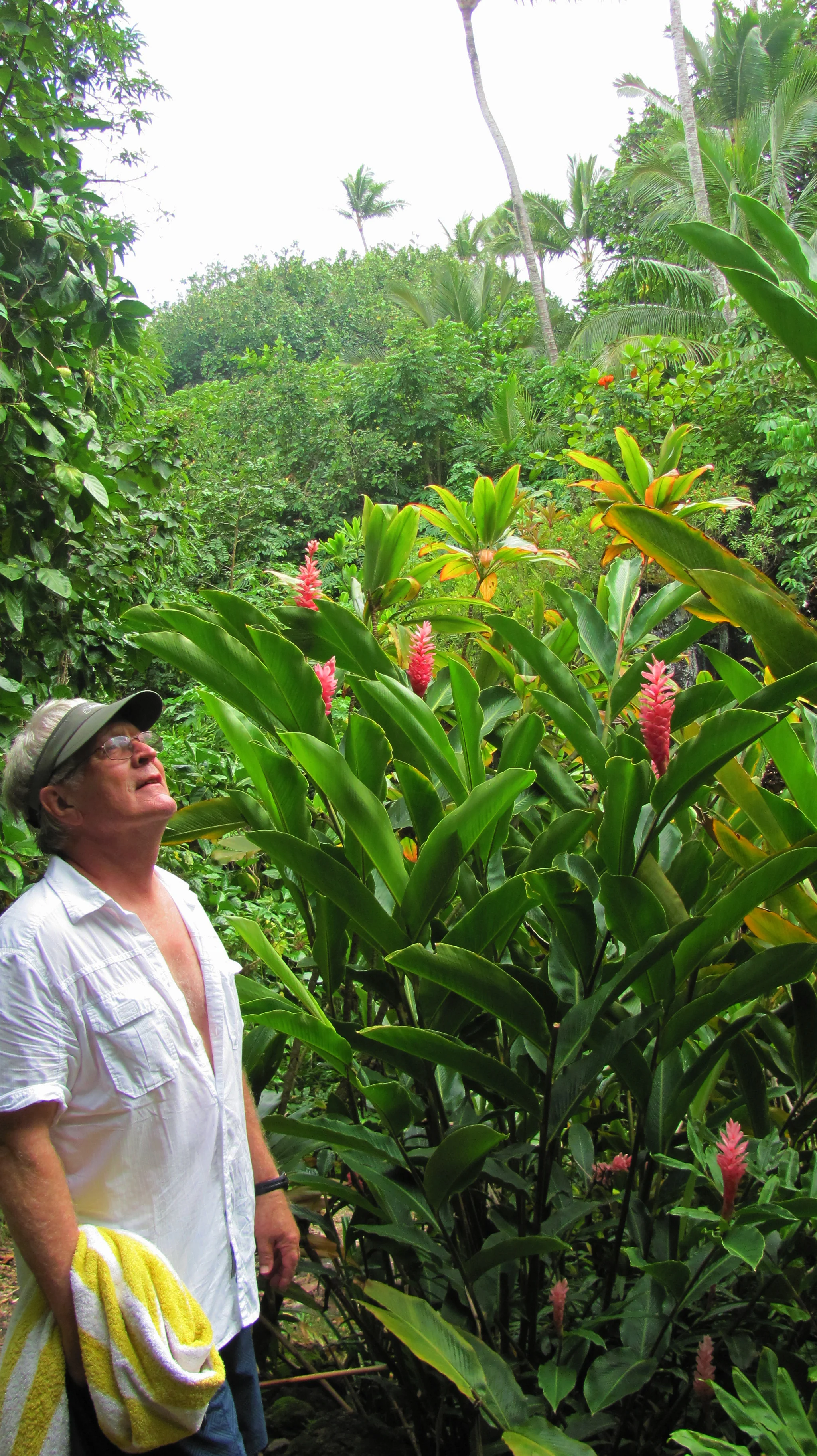 076_Maui.jpg
