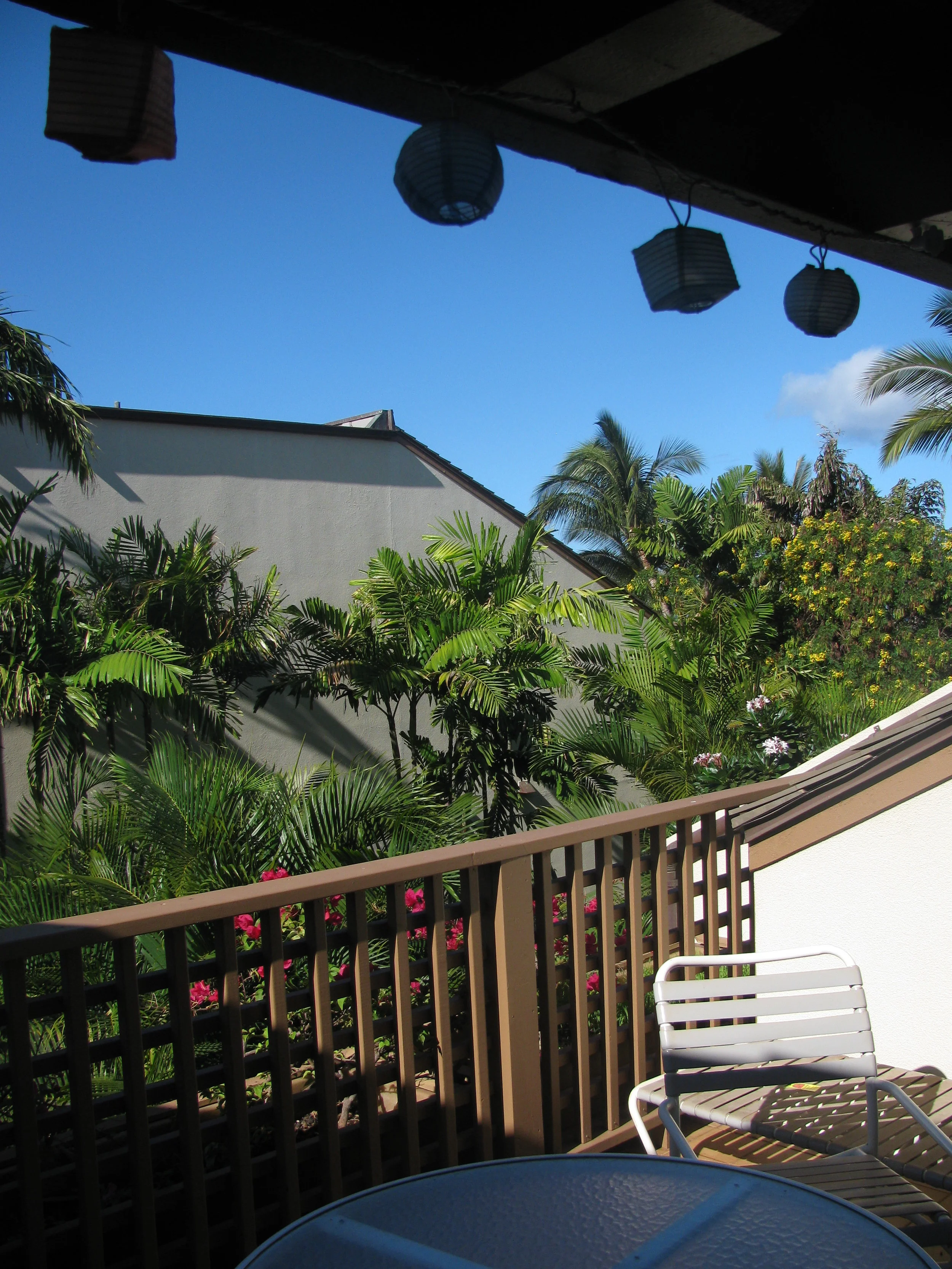 117_Maui.jpg