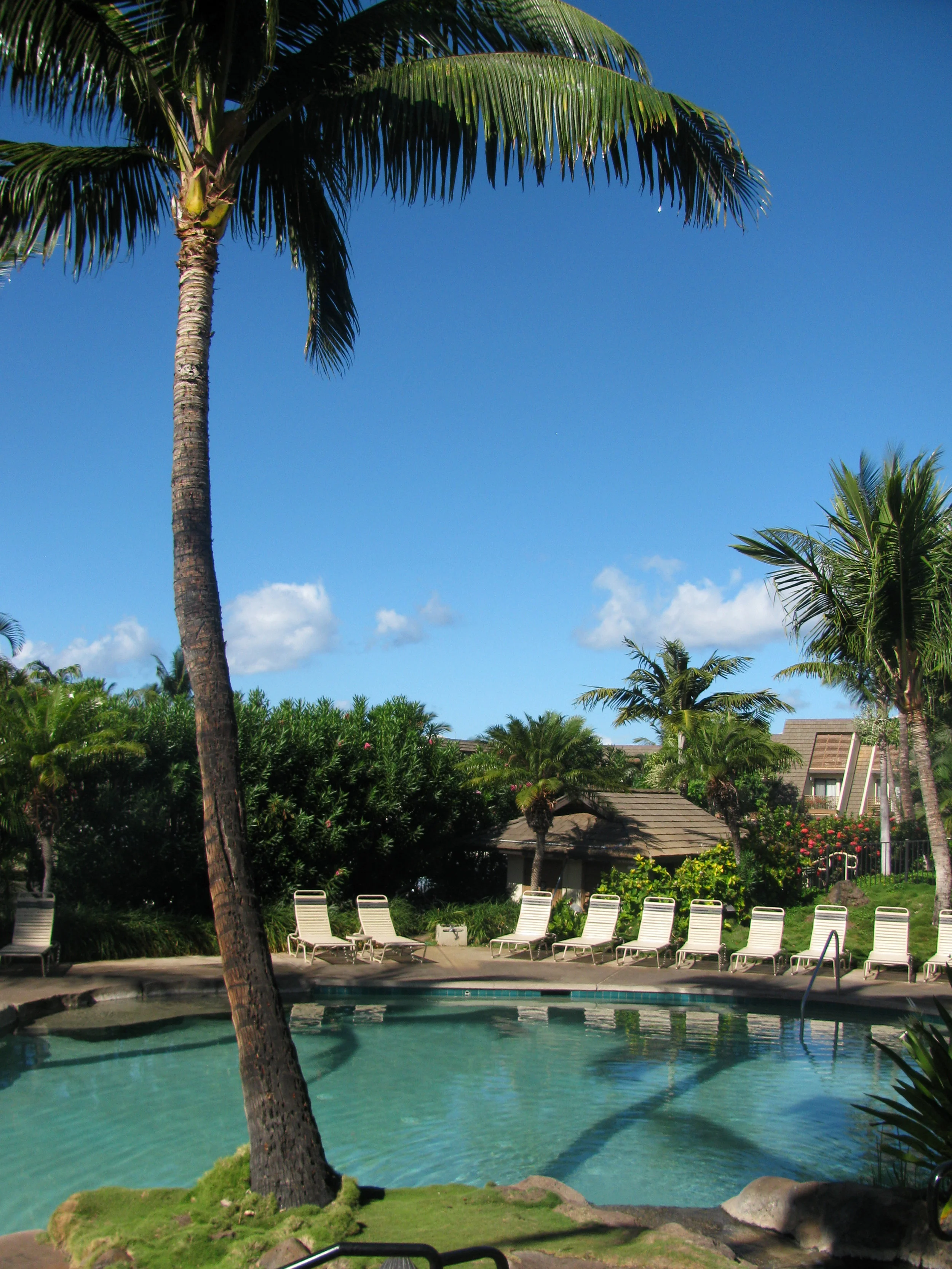 119_Maui.jpg