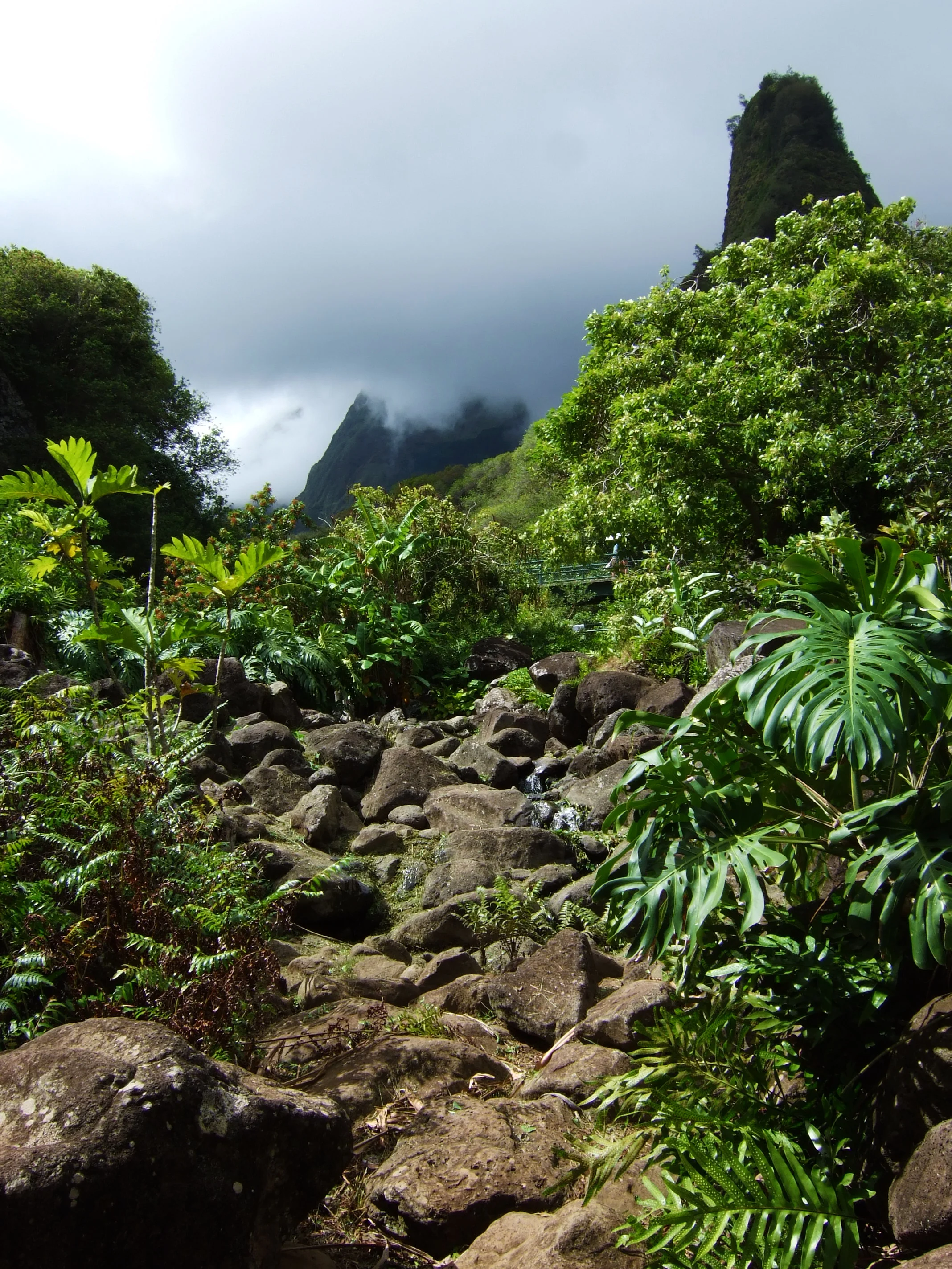128_Maui.jpg