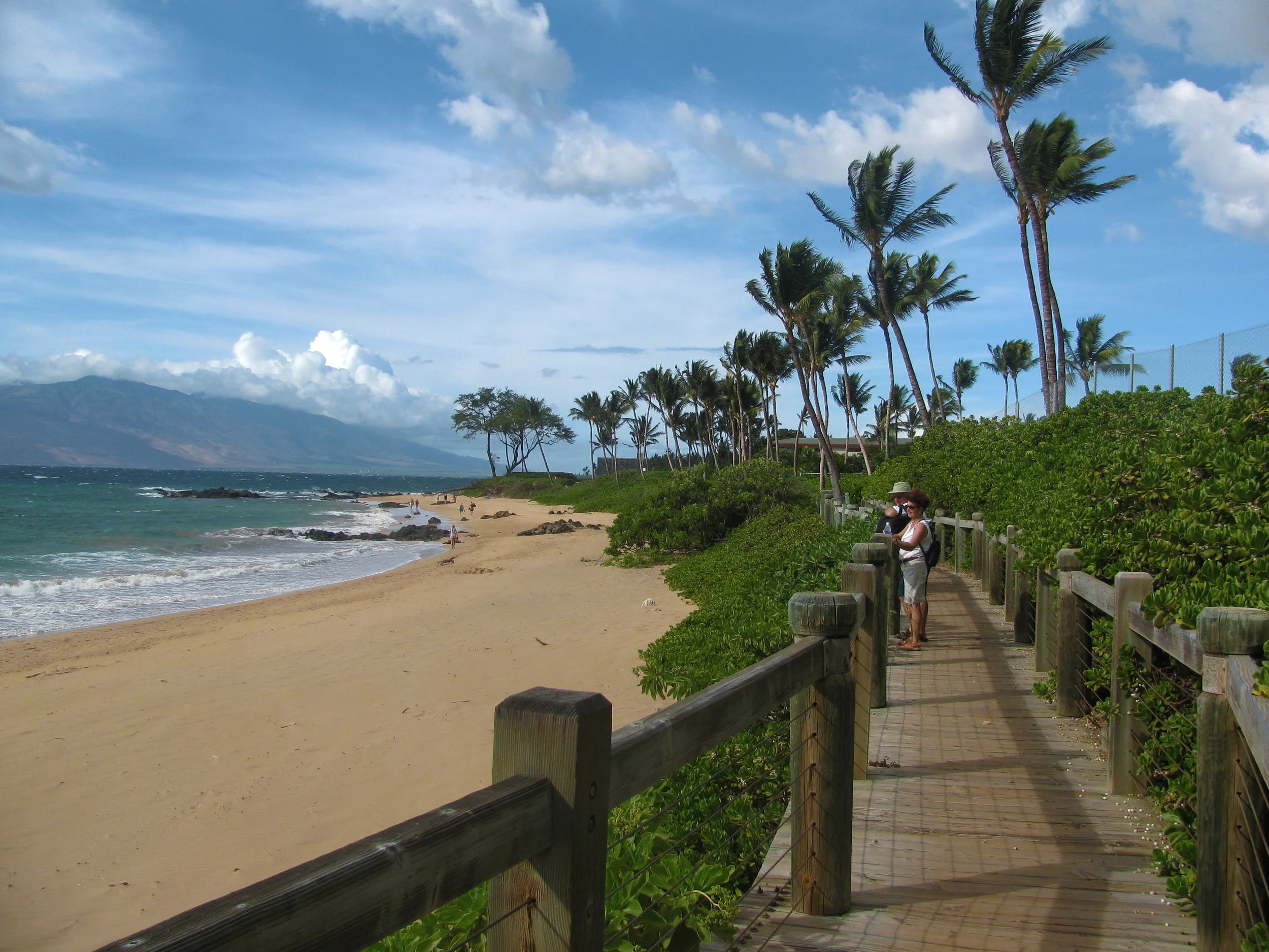 136_Maui.jpg