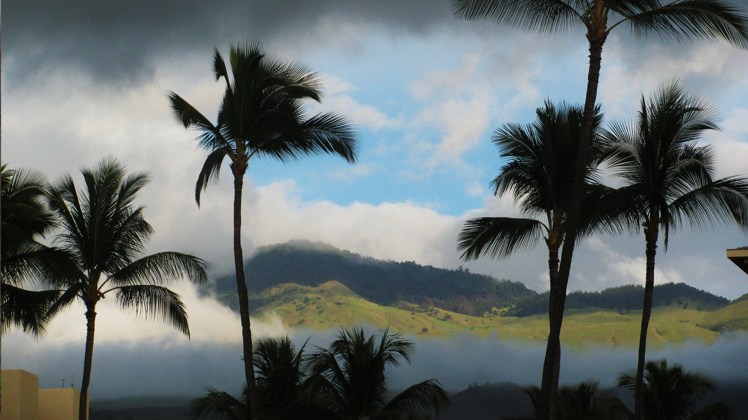 138_Maui.jpg