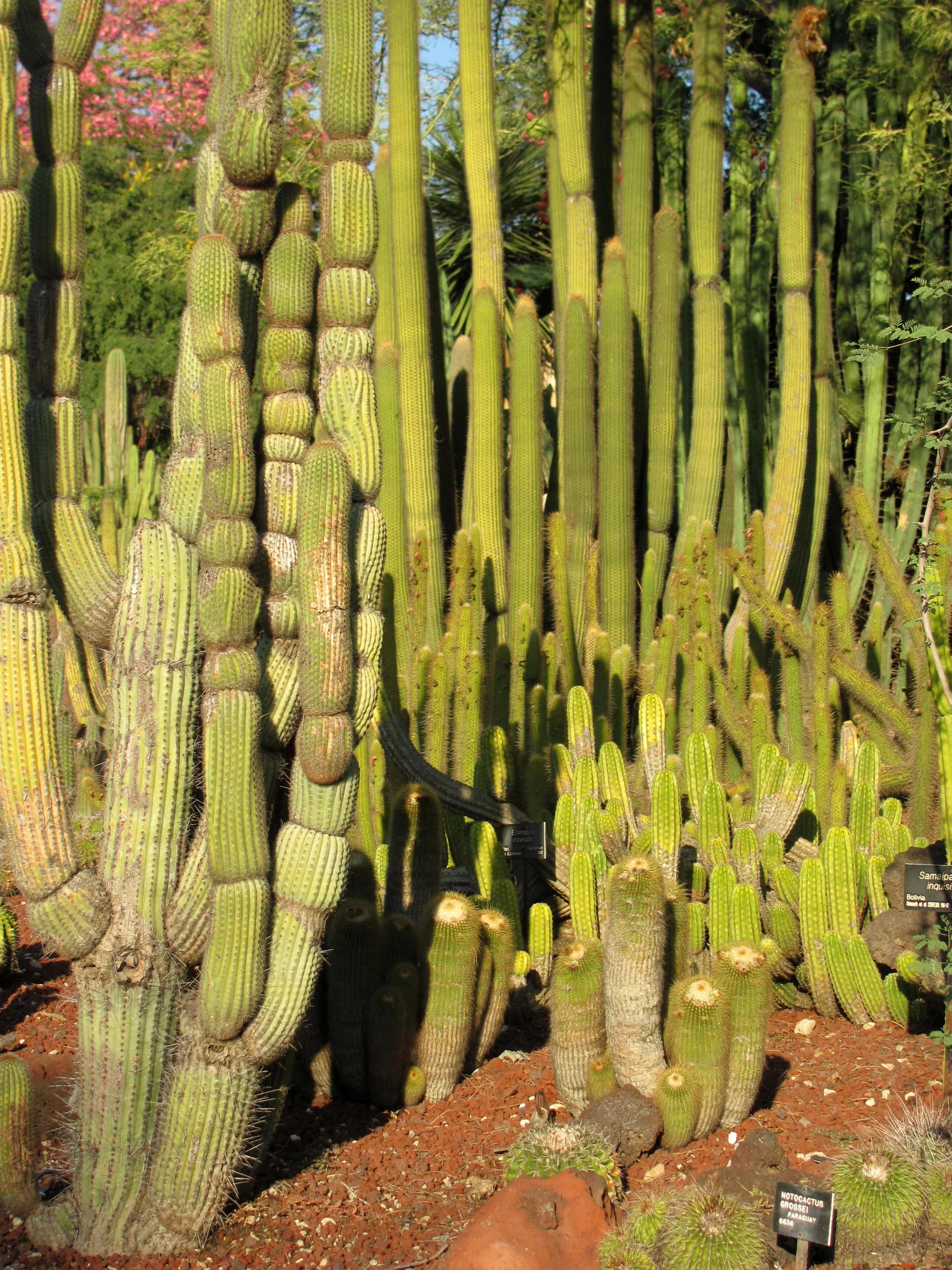 155_Maui.jpg