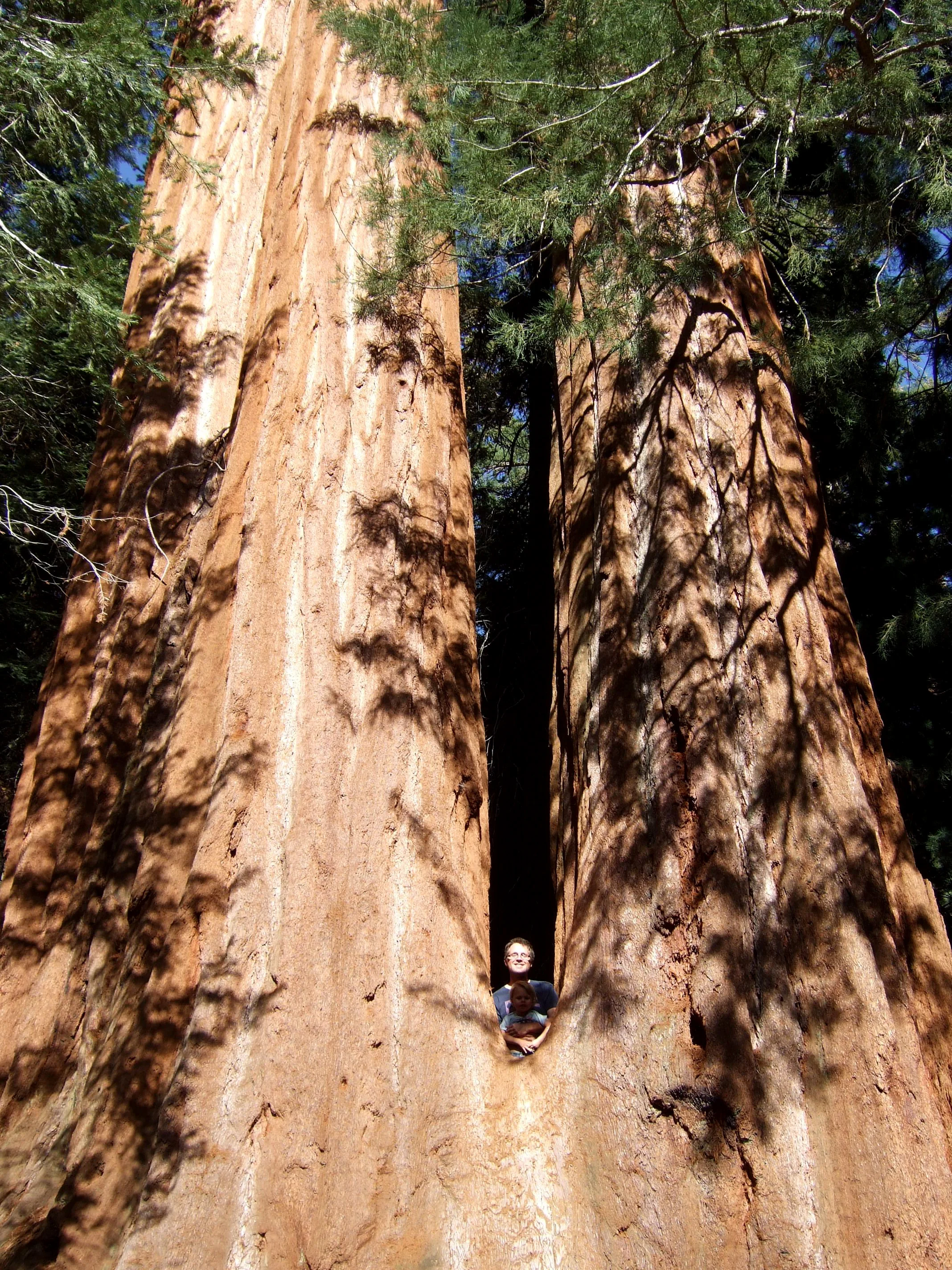 mai_2014_037.jpg