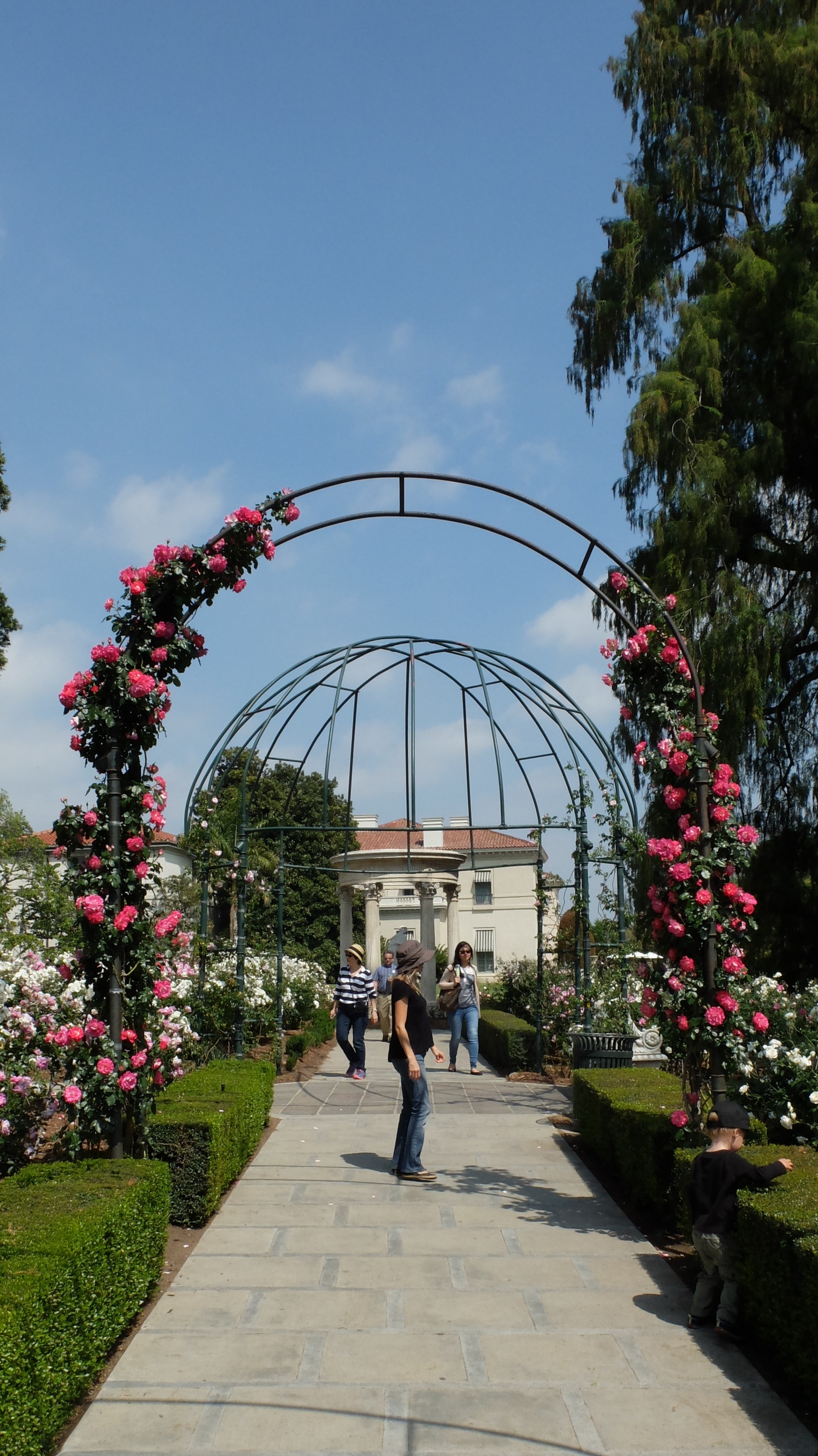 avril_2014_054.JPG