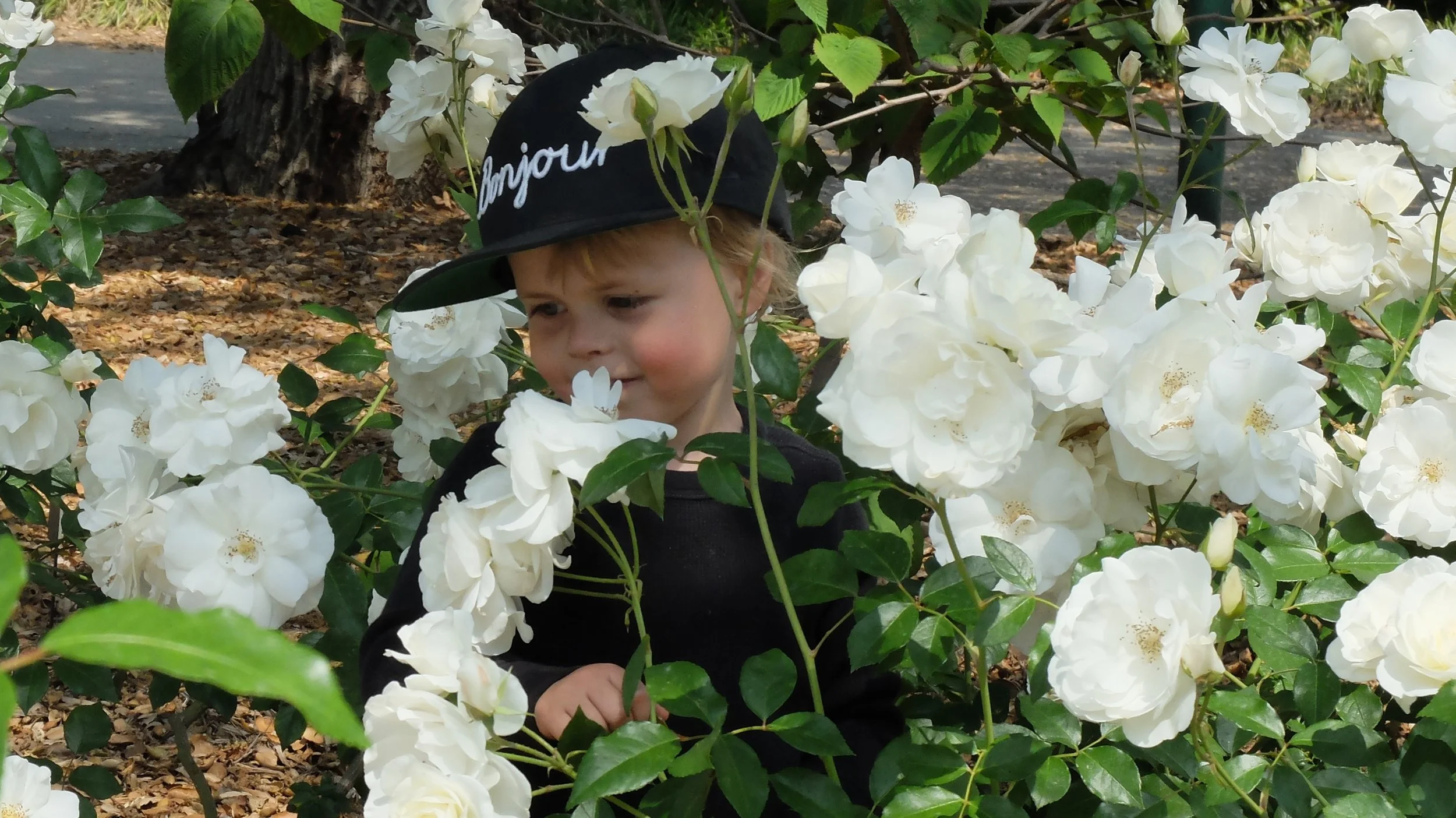 avril_2014_050.JPG