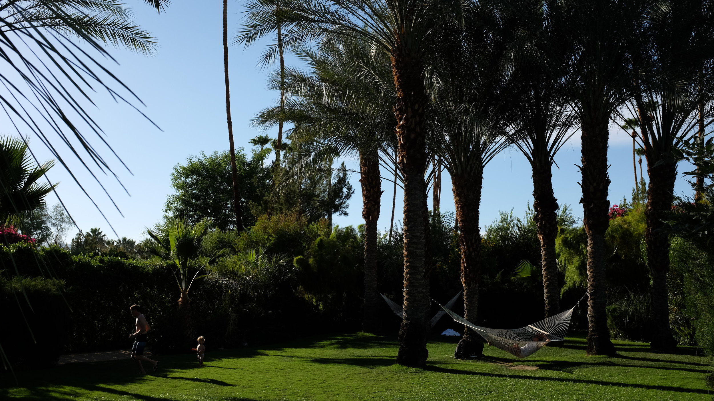 juin_2014_059.jpg