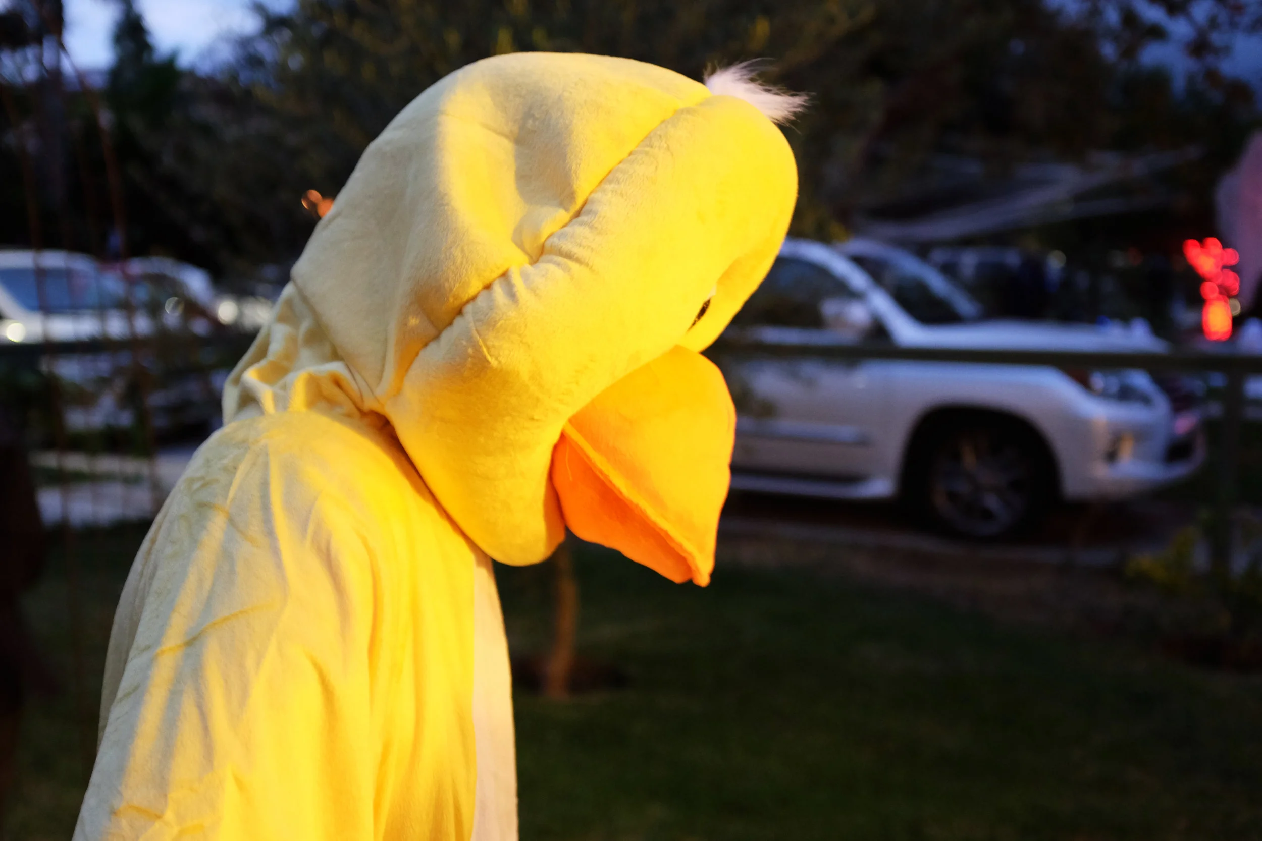 octobre_2014_031.jpg