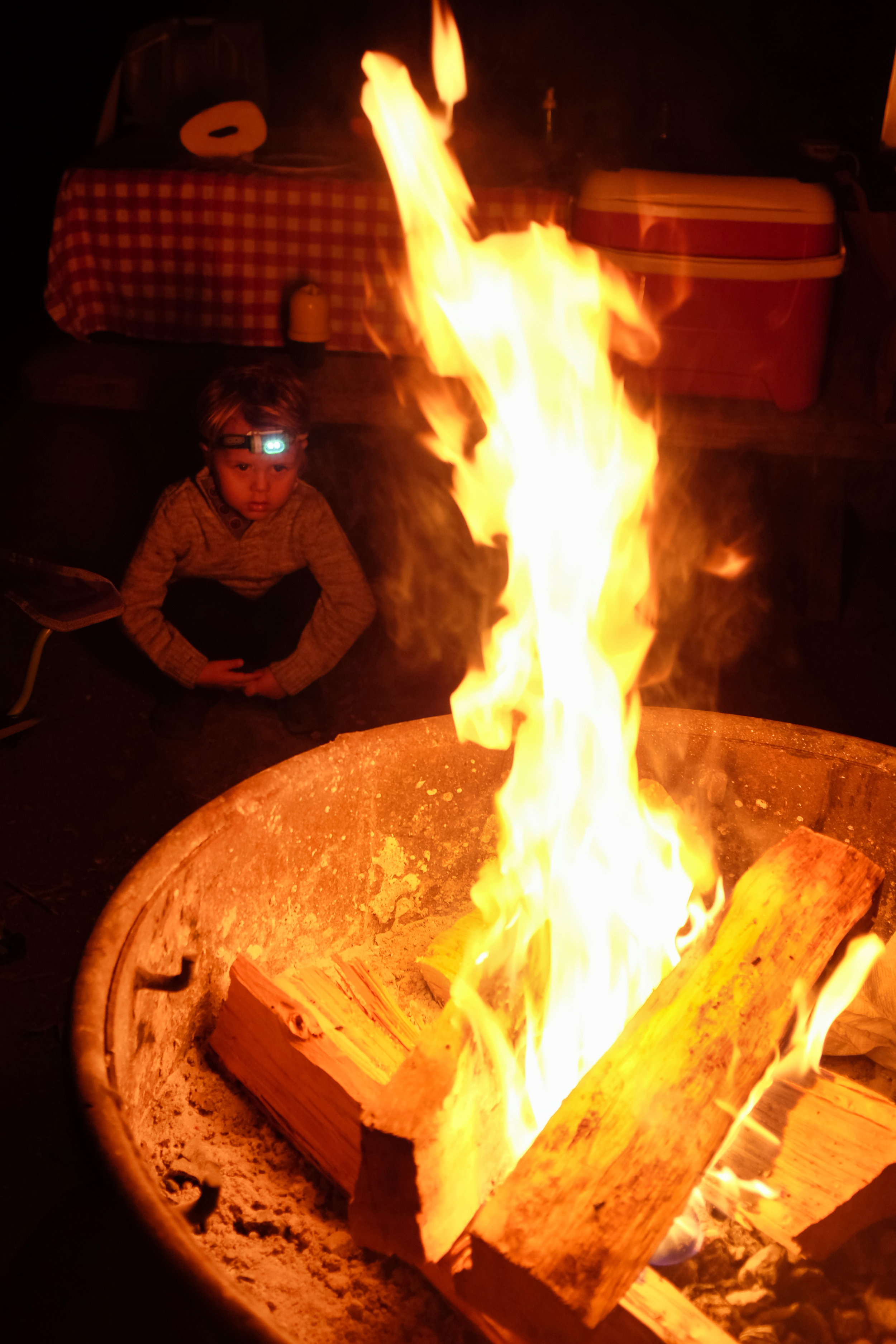 novembre_2014_016.jpg
