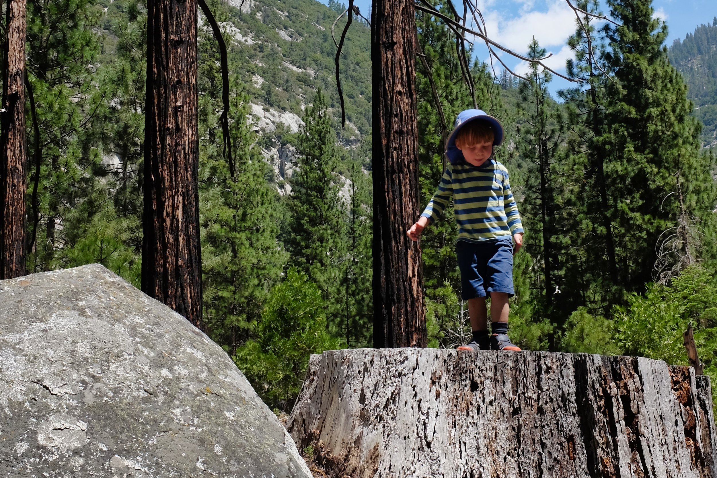 juini_2019_072b.jpg